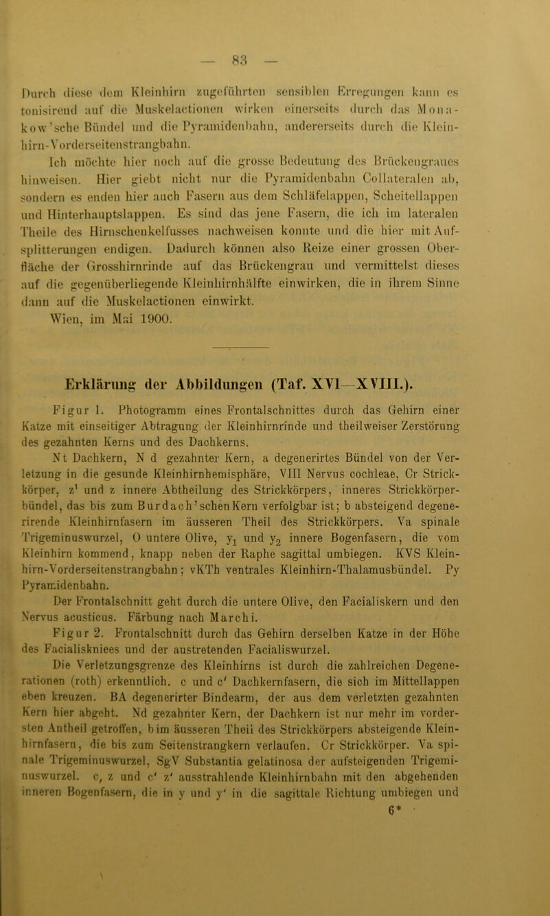 Durch diese dem Kleinhirn zugeführten sensiblen Erregungen kann es tonisireud auf die Muskelactionen wirken einerseits durch das Mona- kow’sche Bündel und die Pyramidenbahn, andererseits durch die Klein- hirn-Vorderseitenstrangbahn. Ich möchte hier noch auf die grosse Bedeutung des Brückengraues hinweisen. Hier giebt nicht nur die Pyraraidenbahn Collateralen ab, sondern es enden hier auch Fasern aus dem Schläfelappen, Scheitellappen und Hinterhauptslappen. Es sind das jene Fasern, die ich im lateralen Theile des Hirnschenkelfusses nachweisen konnte und die hier mit Auf- splitterungen endigen. Dadurch können also Reize einer grossen Ober- fläche der Grosshirnrinde auf das Brückengrau und vermittelst dieses auf die gegenüberliegende Kleinhirnhälfte einwirken, die in ihrem Sinne dann auf tlie Muskelactionen einwirkt. Wien, im Mai 1900. Erklärung der Abbildungen (Taf. XY1—XVIII.). Figur 1. Photogramm eines Frontalschnittes durch das Gehirn einer Katze mit einseitiger Abtragung der Kleinhirnrinde und theilvveiser Zerstörung des gezahnten Kerns und des Dachkerns. Nt Dachkern, N d gezahnter Kern, a degenerirtes Bündel von der Ver- letzung in die gesunde Kleinhirnhemisphäre, VIII Nervus cochleae, Cr Strick- körper, z' und z innere Abtheilung des Strickkörpers, inneres Strickkörper- bündel, das bis zum Bur dach’sehen Kern verfolgbar ist; b absteigend degene- rirende Kleinhirnfasern im äusseren Theil des Strickkörpers. Va spinale Trigeminuswurzel, 0 untere Olive, y2 und y2 innere Bogenfasern, die vom Kleinhirn kommend, knapp neben der Raphe sagittal umbiegen. KVS Klein- him-Yorderseitenstrangbahn; vKTh ventrales Kleinhirn-Thalamusbündel. Py Pyramidenbahn. Der Frontalschnitt geht durch die untere Olive, den Facialiskern und den Nervus acusticus. Färbung nach March i. Figur 2. Frontalschnitt durch das Gehirn derselben Katze in der Höhe des Facialiskniees und der austretenden Facialiswurzel. Die Verletzungsgrenze des Kleinhirns ist durch die zahlreichen Degene- rationen (roth) erkenntlich, c und c' Dachkernfasern, die sich im Mittellappen eben kreuzen. BA degenerirter Bindearm, der aus dem verletzten gezahnten Kern hier abgeht. Nd gezahnter Kern, der Dachkern ist nur mehr im vorder- sten Antheil getroffen, bim äusseren Theil des Strickkörpers absteigende Klein- hirnfasern, die bis zum Seitenstrangkern verlaufen. Cr Strickkörper. Va spi- nale Trigeminuswurzel, SgV Substantia gelatinosa der aufsteigenden Trigemi- nuswurzel. c, z und c' z' ausstrahlende Kleinhirnbahn mit den abgehenden inneren Bogenfasern, die in y und y' in die sagittale Richtung umbiegen und 6* *