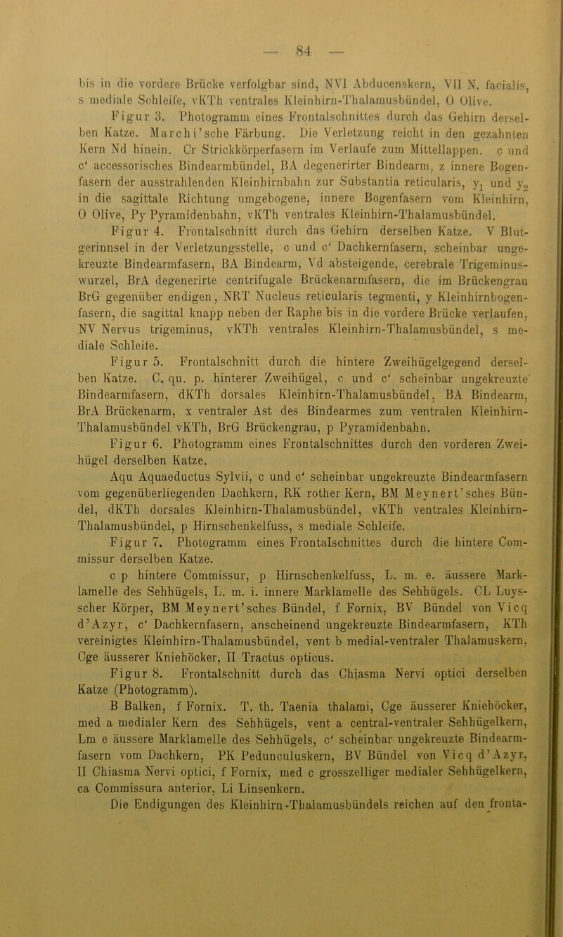 s mediale Schleife, vKTh ventrales Kleinhirn-Thalamusbündel, 0 Olive. Figur 3. Photogramm eines Frontalschnittes durch das Gehirn dersel- ben Katze. March i ’ sehe Färbung. Die Verletzung reicht in den gezahnten Kern Nd hinein. Cr Strickkörperfasern im Verlaufe zum Mittellappen, c und c' accessorisches Bindearmbündel, BA degenerirter Bindearm, z innere Bogen- fasern der ausstrahlenden Kleinhirnbahn zur Substantia reticularis, y1 und y0 in die sagittale Richtung umgebogene, innere Bogenfasern vom Kleinhirn, 0 Olive, Py Pyramidenbahn, vKTh ventrales Kleinhirn-Thalamusbündel. Figur 4. Frontalschnitt durch das Gehirn derselben Katze. V Blut- gerinnsel in der Verletzungsstelle, c und c' Dachkernfasern, scheinbar unge- kreuzte Bindearmfasern, BA Bindearm, Vd absteigende, cerebrale Trigeminus- wurzel, BrA degenerirte centrifugale Brückenarmfasern, die im Brückengrau BrG gegenüber endigen, NRT Nucleus reticularis tegmenti, y Kleinhirnbogen- fasern, die sagittal knapp neben der Raphe bis in die vordere Brücke verlaufen, NV Nervus trigeminus, vKTh ventrales Kleinhirn-Thalamusbündel, s me- diale Schleile. Figur 5. Frontalschnitt durch die hintere Zweihügelgegend dersel- ben Katze. C. qu. p. hinterer Zweihügel, c und c' scheinbar ungekreuzte Bindearmfasern, dKTh dorsales Kleinhirn-Thalamusbündel, BA Bindearm, BrA Brückenarm, x ventraler Ast des Bindearmes zum ventralen Kleinhirn- Thalamusbündel vKTh, BrG Brückengrau, p Pyramidenbahn. Figur 6. Photogramm eines Frontalschnittes durch den vorderen Zwei- hügel derselben Katze. Aqu Aquaeductus Sylvii, c und c' scheinbar ungekreuzte Bindearmfasern vom gegenüberliegenden Dachkern, RK rother Kern, BM Meynert’sches Bün- del, dKTh dorsales Kleinhirn-Thalamusbündel, vKTh ventrales Kleinhirn- Thalamusbündel, p Hirnschenkelfuss, s mediale Schleife. Figur 7. Photogramm eines Frontalschnittes durch die hintere Com- missur derselben Katze. c p hintere Commissur, p Hirnschenkelfuss, L. m. e. äussere Mark- lamelle des Sehhügels, L. m. i. innere Marklamelle des Sehhügels. CL Luys- scher Körper, BM Meynert’sches Bündel, f Fornix, BV Bündel von Vicq d’Azyr, c' Dachkernfasern, anscheinend ungekreuzte Bindearmfasern, KTh vereinigtes Kleinhirn-Thalamusbündel, vent b medial-ventraler Thalamuskern. Cge äusserer Kniehöcker, II Tractus opticus. Figur 8. Frontalschnitt durch das Clnasma Nervi optici derselben Katze (Photogramm). B Balken, f Fornix. T. th. Taenia thalami, Cge äusserer Kniehöcker, med a medialer Kern des Sehhügels, vent a central-ventraler Sehhügelkern, Lm e äussere Marklamelle des Sehhügels, c' scheinbar ungekreuzte Bindearm- fasern vom Dachkern, PK Pedunculuskern, BV Bündel von Vicq d’Azyr, II Chiasma Nervi optici, f Fornix, med c grosszelliger medialer Sehhügelkern, ca Commissura anterior, Li Linsenkern. Die Endigungen des Kleinhirn-Thalamusbündels reichen auf den fronta-