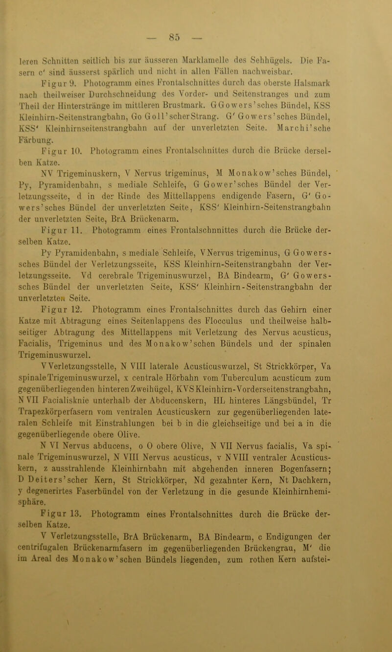 leren Schnitten seitlich bis zur äusseren Marldamello dos Sohhügels. Die Fa- sern c' sind äusserst spärlich und nicht in allen Fällen nachweisbar. Figur 9. Photogramm eines Frontalschnittes durch das oberste Halsmark nach theilweiser Durchschneidung des Vorder- und Seitenstranges und zum Theil der Hinterstränge im mittleren Brustmark. GGowers’sches Bündel, KSS Kleinhirn-Seitenstrangbahn, Go G oll’ scher Strang. G' Gowers’sches Bündel, KSS' Kleinhirnseitenstrangbahn auf der unverletzten Seite. Marc hi’sehe Färbung. Figur 10. Photogramm eines Frontalschnittes durch die Brücke dersel- O O ben Katze. NV Trigeminuskern, V Nervus trigeminus, M Monakow’sches Bündel, Py, Pyramidenbahn, s mediale Schleife, G Gower’sches Bündel der Ver- letzungsseite, d in der Rinde des Mittellappens endigende Fasern, G' Go- wers’sches Bündel der unverletzten Seite, KSS' Kleinhirn-Seitenstrangbahn der unverletzten Seite, BrA Brückenarm. Figur 11. Photogramm eines Frontalschnnittes durch die Brücke der- selben Katze. Py Pyramidenbahn, s mediale Schleife, VNervus trigeminus, GGowers- sches Bündel der Verletzungsseite, KSS Kleinhirn-Seitenstrangbahn der Ver- letzungsseite. Vd cerebrale Trigeminuswurzel, BA Bindearm, G' Gowers- sches Bündel der unverletzten Seite, KSS' Kleinhirn-Seitenstrangbahn der unverletzten Seite. Figur 12. Photogramm eines Frontalschnittes durch das Gehirn einer Katze mit Abtragung eines Seitenlappens des Flocoulus und theilweise halb- seitiger Abtragung des Mittellappens mit Verletzung des Nervus acusticus, Facialis, Trigeminus und des Monakow’sehen Bündels und der spinalen Trigeminuswurzel. V Verletzungsstelle, N VIII laterale Acusticuswurzel, St Strickkörper, Va spinaleTrigeminuswurzel, x centrale Hörbahn vom Tuberculum acusticum zum gegenüberliegenden hinteren Zweihügel, KVSKleinhirn-Vorderseitenstrangbahn, N VII Facialisknie unterhalb der Abducenskern, HL hinteres Längsbündel, Tr Trapezkörperfasern vom ventralen Acusticuskern zur gegenüberliegenden late- ralen Schleife mit Einstrahlungen bei b in die gleichseitige und bei a in die gegenüberliegende obere Olive. N VI Nervus abducens, o 0 obere Olive, N VII Nervus facialis, Va spi- nale Trigeminuswurzel, N VIII Nervus acusticus, v NVIII ventraler Acusticus- kern, z ausstrahlende Kleinhirnbahn mit abgehenden inneren Bogenfasern; D Deiters’scher Kern, St Strickkörper, Nd gezahnter Kern, Nt Dachkern, y degenerirtes Faserbündel von der Verletzung in die gesunde Kleinhirnhemi- sphäre. Figur 13. Photogramm eines Frontalschnittes durch die Brücke der- selben Katze. V Verletzungsstelle, BrA Brückenarm, BA Bindearm, c Endigungen der centrifugalen Brückenarmfasern im gegenüberliegenden Brückengrau, M' die im Areal des Monakow’sehen Bündels liegenden, zum rothen Kern aufstei-