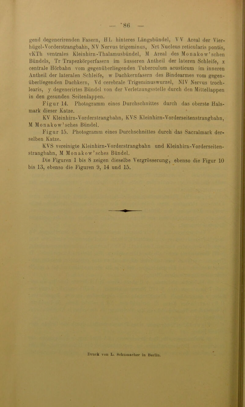 gern! degenerirenden Fasern, HL hinteres Längsbünde], VV Areal der Vier- liiigol-Vorderstrangbahh, NV Nervus trigeminus, Nrt Nucleus reticularis pontis, vKTh ventrales Kleinhirn-Thalamusbündel, M Areal des Monako w’schen Bündels, Tr Trapezkörperfasern im äusseren Antheil der lateren Schleife, x centrale Hörbahn vom gegenüberliegenden Tuberculum acusticum im inneren Antheil der lateralen Schleife, w Dach kernfasern des Bindearmes vom gegen- überliegenden Dachkern, Vd cerebrale Trigeminuswurzel, NIV Nervus troch- learis, y degenerirtes Bündel von der Verletzungsstelle durch den Mittellappen in den gesunden Seitenlappen. Figur 14. Photogramm eines Durchschnittes durch das oberste Hals- mark dieser Katze. KV Kleinhirn-Vorderstrangbahn, KVS Kleinhirn-Vorderseitenstrangbahn, M Monakow’sches Bündel. Figur 15. Photogramm eines Durchschnittes durch das Sacralmark der- selben Katze. KVS vereinigte Kleinhirn-Vorderstrangbahn und Kleinhirn-Vorderseiten- strangbahn, M Monako w’sches Bündel. Die Figuren 1 bis 8 zeigen dieselbe Vergrösserung, ebenso die Figur 10 bis 13, ebenso die Figuren 9, 14 und 15. Druck von L. .Schumacher in Berlin.