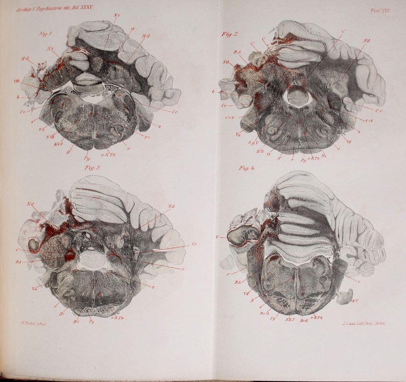 Mt / AnAw/’Pst/t/utM'ü' t'if .hW \.W\ Tat XV/ Xig £. £.1 aut, Lith. Inst. Aerän. JBA