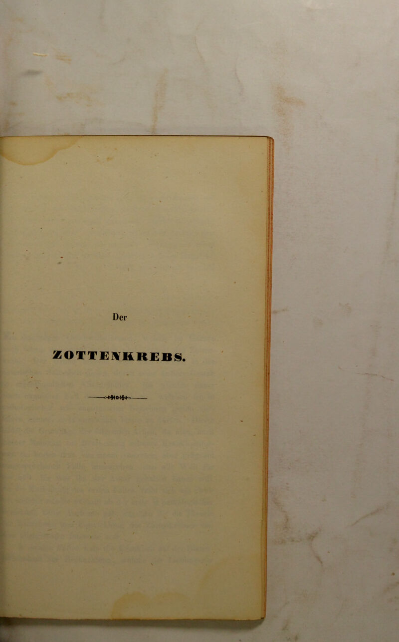 ZOTTENKREBS.