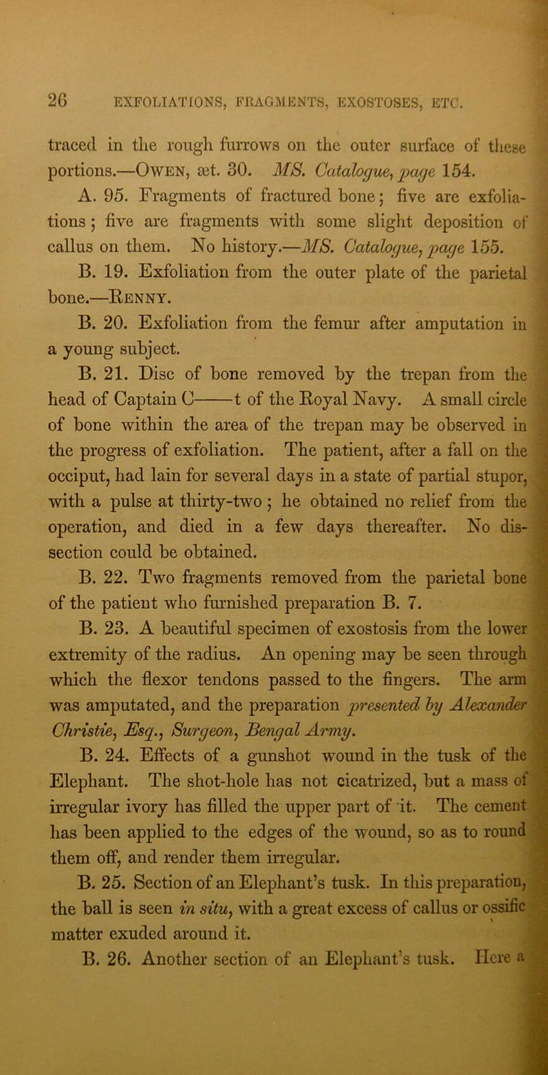 traced in the rough furrows on the outer surface of these portions.—Owen, £et. 30. MS. Catalogue, j)age 154. A. 95. Fragments of fractured bone; five are exfolia- tions ; five are fragments with some slight deposition of callus on them. No history.—MS. Catalogue, page 155. B. 19. Exfoliation from the outer plate of the parietal bone.—Kenny. B. 20. Exfoliation from the femur after amputation in a young subject. B. 21. Disc of bone removed by the trepan from the head of Captain C 1 of the Royal Navy. A small circle of bone within the area of the trepan may be observed in the progress of exfoliation. The patient, after a fall on the occiput, had lain for several days in a state of partial stupor, with a pulse at thirty-two ; he obtained no relief from the operation, and died in a few days thereafter. No dis- section could be obtained. B. 22. Two fragments removed from the parietal bone of the patient who furnished preparation B. 7. B. 23. A beautiful specimen of exostosis from the lower extremity of the radius. An opening may be seen through which the flexor tendons passed to the fingers. The arm was amputated, and the preparation presented hy Alexander ■. Christie, Esq., Surgeon, Bengal Army. B. 24. Effects of a gunshot wound in the tusk of the Elephant. The shot-hole has not cicatrized, but a mass of \ irregular ivory has filled the upper part of it. The cement . has been applied to the edges of the wound, so as to round ^ them off, and render them irregular. ^ B. 25. Section of an Elephant’s tusk. In this preparation, the ball is seen in situ, with a great excess of callus or ossific matter exuded around it. > B. 26. Another section of an Elephant’s tusk. Here a