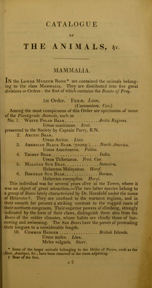 digitised image 3