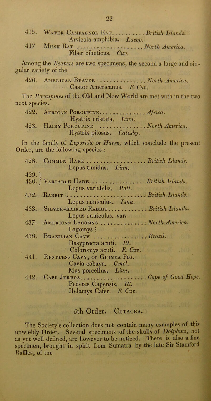 415. Water Campagnol Rat British Islands. Arvicola amphibia. Lacep. 417 Musk Rat North America. Fiber zibeticus. Cuv. Among the Beavers are two specimens, the second a large and sin- gular variety of the 420, American Beaver North America. Castor Americanus, F. Cuv. The Porcupines of the Old and New World are met with in the two next species. 422, African Porcupine Africa. Hystrix cristata. Linn. 423. Hairy Porcupine North America. Hystrix pilosus. Catesby. In the family of Leporidce or Hares, which conclude the present Order, are the following species ; 428. Common Hare British Islands. Lepus timidus. Linn. 429.1 430./ Variable Hare British Islands. Lepus variabilis. Pall. 432. Rabbit British Islands. Lepus cuniculus. Linn. 433. Silver-haired Rabbit British Islands. Lepus cuniculus. var. 437. American Lagomys North America. Lagomys ? 438. Brazilian Cavy Brazil. Dasyprocta acuti. III. Chloromys acuti. F. Cuv. 441. Restless Cavy, or Guinea Pig. Cavia cobaya. Gmel. Mus porcellus. Linn. 442. Cape Jerboa Cape of Good Hope. Pedetes Capensis. III. Helamys Cafer. F. Cuv. 5th Order. Cetacea. The Society’s collection does not contain many examples of this unwieldy Order. Several specimens of the skulls of Dolphins, not as yet well defined, are however to be noticed. There is also a fine specimen, brought in spirit from Sumatra by the late Sir Stamford Raffles, of the
