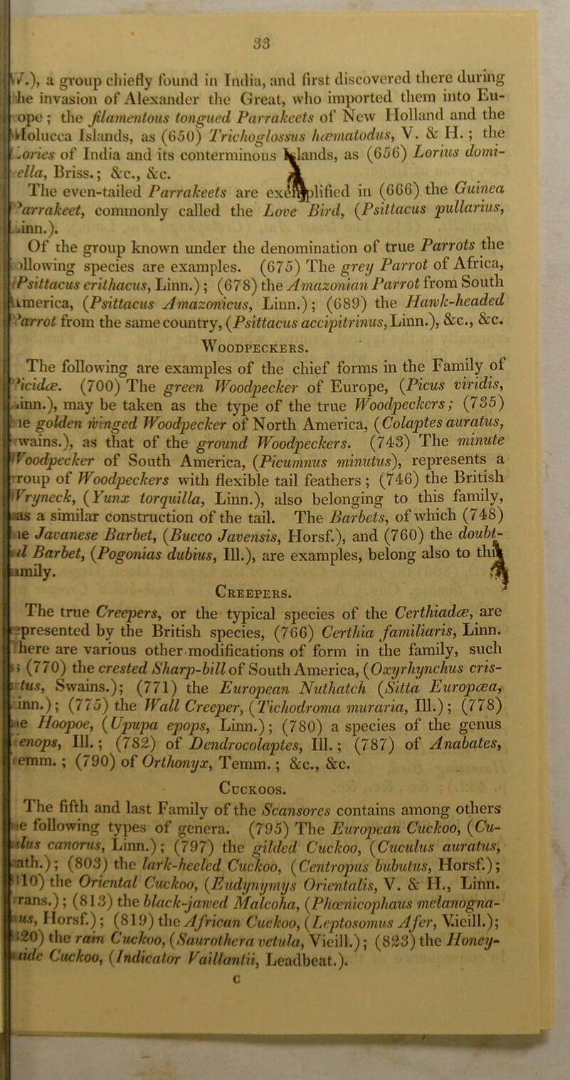 j a group chiefly found in India, and first discovered there during I he invasion of Alexander the Great, who imported them into Eu- j ope; the Jilamentous tongucd Parrakeets of New Holland and the I ^Holucca Islands, as (650) 2'richoglossiis hceviatodus, V. & H.; the j [uories of India and its conterminous Inlands, as (656) Lorius domi- ella, Briss.; &c., &c. A The even-tailed Parrakeets are exe^dified in (666) the Guinea '^arrakeet, commonly called the Love Birdy (^Psittacus pullarius, Aim.). Of the group known under the denomination of true Parrots the illowing species are examples. (675) The gretj Parrot of Africa, 'Psittacus erithacus, Linn.); (678) the Amazonian Parrot from South Umerica, {Psittacus Amazonicus, Linn.); (689) the Harvk-headed 'Carrot from the samecoimtry, {Psittaciis accipitrinus,\Aim.), &c., &c. Woodpeckers. The following are examples of the chief forms in the Family of '*icidce. (700) The green Woodpecker of Europe, {Picus viridis, ,iinn.), may be taken as the type of the true Woodpeckers; (735) [lie golden ninged Woodpecker of North America, {Colaptes auratus, ■ wains.), as that of the ground Woodpeckers. (743) The minute Woodpecker of South America, {Picumnus minutus), represents a rroup of Woodpeckers with flexible tail feathers; (746) the British I Wryneck, {Yunx torquilla, Linn.), also belonging to this family, jas a similar construction of the tail. The Barbets, of which (748) lie Javanese Barhet, {Bucco Javensis, Horsf.), and (760) the doubt- ul Barbety {Pogonias dubius, 111.), are examples, belong also to th\ amily. j'jw Creepers. The true Creepers, or the typical species of the Certhiadce, are represented by the British species, (766) Certhia familiaris, Linn. ;here are various other modifications of form in the family, such >5 (770) ^le crested Sharp)-billo^Kmex\co.,{Oxyrhynchus cris- \ tus, Swains.); (771) the European Nuthatch {Sitta Europcsa, :inn.); (775) the Wall Creeper, {Tichodroma muraria. 111.); (778) lie Hoopoe, {Upupa epops, Linn.); (780) a species of the genus enops. 111.; (782) of Dendrocolaptes, 111.; (787) of Anabates, temm.; (790) of Orthonyx, Temm.; &c., &c. Cuckoos. IThe fifth and last Family of the Scansores contains among others le following types of genera. (795) The European Cuckoo, {Cu- dus canorus, Linn.); (797) the gilded Cuckoo, (Cuculus auratus, ath.); (803) the lark-heeled Cuckoo, (Centropus bubutus, Horsf.); '•10) the Oriental Cuckoo, (Eudynymys Orientalis, V. & H., Linn, frans.); (813) the black-jawed Malcolm, (Phoenicophaus melanogna- »us, I lorsf.); (819) the African Cuckoo, (Leptosomtis Afer, Vieill.); 620) the rain Cuckoo, (Saurothera vetula, Vieill.); (823) the Honey- uide Cuckoo, (Indicator Vaillantii, Leadbeat.).