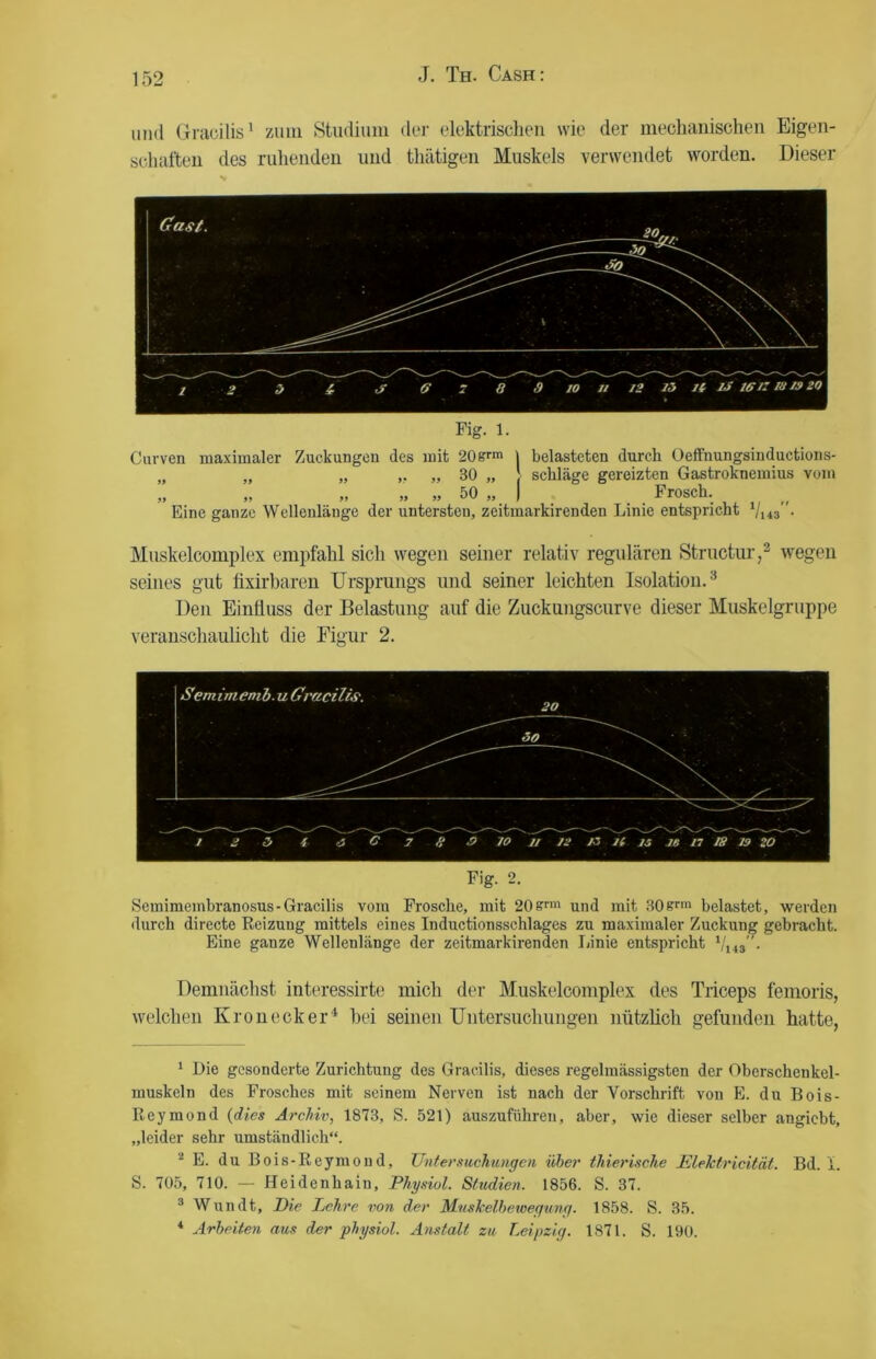 und Gracilis1 zum Studium der elektrischen wie der mechanischen Eigen- schaften des ruhenden und thätigen Muskels verwendet worden. Dieser Fig. 1. Curven maximaler Zuckungen des mit 20&rm j belasteten durch Oeffnungsinductions- „ „ „ „ 30 „ schlage gereizten Gastroknemius vom » >> » » »> 50 j, J _ Frosch. ,, Eine ganze Wellenlänge der untersten, zeitmarkirenden Linie entspricht l/i43 . Muskelcomplex empfahl sich wegen seiner relativ regulären Structur,2 wegen seines gut fixirbaren Ursprungs und seiner leichten Isolation.3 4 Den Einfluss der Belastung auf die Zuckungscurve dieser Muskelgruppe veranschaulicht die Figur 2. Fig. 2. Seinimembranosus-Gracilis vom Frosche, mit 20srm und mit 30erm belastet, werden durch directe Reizung mittels eines Inductionsschlages zu maximaler Zuckung gebracht. Eine ganze Wellenlänge der zeitmarkirenden Linie entspricht V143. Demnächst interessirte mich der Muskelcomplex des Triceps femoris, welchen Kronecker1 bei seinen Untersuchungen nützlich gefunden hatte, 1 Die gesonderte Zurichtung des Gracilis, dieses regelmässigsten der Oberscheukel- muskeln des Frosches mit seinem Nerven ist nach der Vorschrift von E. du Bois- Reymond (dies Archiv, 1873, S. 521) auszuführen, aber, wie dieser selber angiebt, „leider sehr umständlich“. 2 E. du Bois-Reymoud, Untersuchungen über thierische Elektricität. Bd. I. S. 705, 710. — Heidenhaiu, Pliysiol. Studien. 1856. S. 37. 3 Wundt. Die Lehre von der MusJcelbewegung. 1858. S. 35. 4 Arbeiten aus der physiol. Anstalt zu Leipzig. 1871. S. 190.