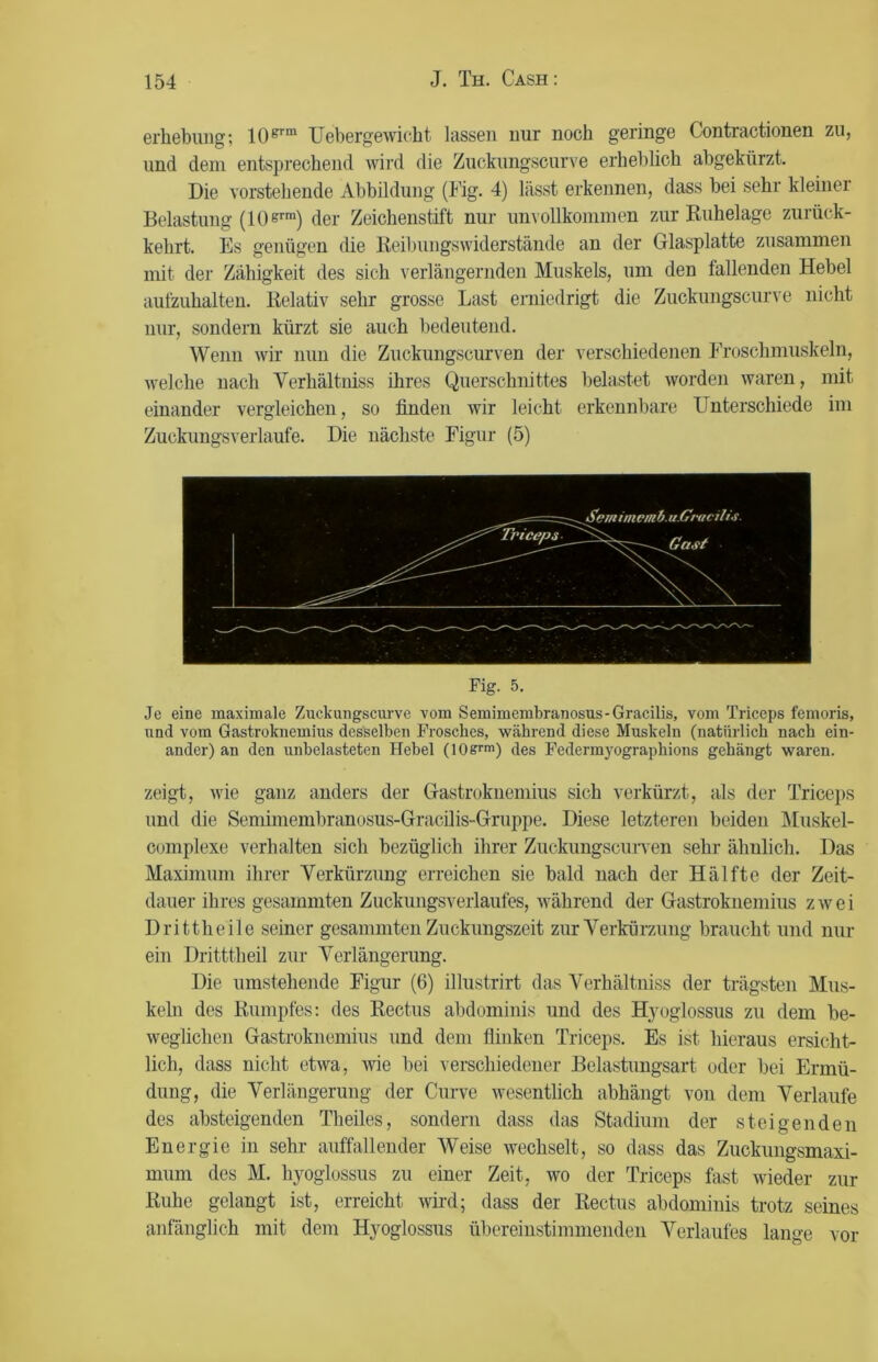 erhebung; 10grm Uebergewicht lassen nur noch geringe Contractionen zu, und dem entsprechend wird die Zuckungscurve erheblich abgekürzt. Die vorstehende Abbildung (Fig. 4) lässt erkennen, dass bei sehr kleinei Belastung (10ßrm) der Zeichenstift nur unvollkommen zur Ruhelage zurück- kehrt. Es genügen die Reibungswiderstände an der Glasplatte zusammen mit der Zähigkeit des sich verlängernden Muskels, um den fallenden Hebel aufzuhalten. Relativ sehr grosse Last erniedrigt die Zuckungscurve nicht nur, sondern kürzt sie auch bedeutend. Wenn wir nun die Zuckungscurven der verschiedenen Froschmuskeln, welche nach Verhältniss ihres Querschnittes belastet worden waren, mit einander vergleichen, so finden wir leicht erkennbare Unterschiede im Zuckungsverlaufe. Die nächste Figur (5) Fig. 5. Je eine maximale Zuckungscurve vom Semimembranosus-Gracilis, vom Triceps femoris, und vom Gastroknemius desselben Frosches, während diese Muskeln (natürlich nach ein- ander) an den unbelasteten Hebel (10srm) des Fcdermyographions gehängt waren. zeigt, wie ganz anders der Gastroknemius sich verkürzt, als der Triceps und die Semimembranosus-Gracilis-Gruppe. Diese letzteren beiden Muskel- complexe verhalten sich bezüglich ihrer Zuckungscurven sehr ähnlich. Das Maximum ihrer Verkürzung erreichen sie bald nach der Hälfte der Zeit- dauer ihres gesammten Zuckungsverlaufes, während der Gastroknemius zwei D rittheile seiner gesammten Zuckungszeit zur Verkürzung braucht und nur ein Dritttheil zur Verlängerung. Die umstehende Figur (6) illustrirt das Verhältniss der trägsten Mus- keln des Rumpfes: des Rectus abdominis und des Hyoglossus zu dem be- weglichen Gastroknemius und dem flinken Triceps. Es ist hieraus ersicht- lich, dass nicht etwa, wie bei verschiedener Belastungsart oder bei Ermü- dung, die Verlängerung der Curve wesentlich abhängt von dem Verlaufe des absteigenden Theiles, sondern dass das Stadium der steigenden Energie in sehr auffallender Weise wechselt, so dass das Zuckungsmaxi- miini des M. hyoglossus zu einer Zeit, wo der Triceps fast wieder zur Ruhe gelangt ist, erreicht wird; dass der Rectus abdominis trotz seines anfänglich mit dem Hyoglossus übereinstimmenden Verlaufes lange vor