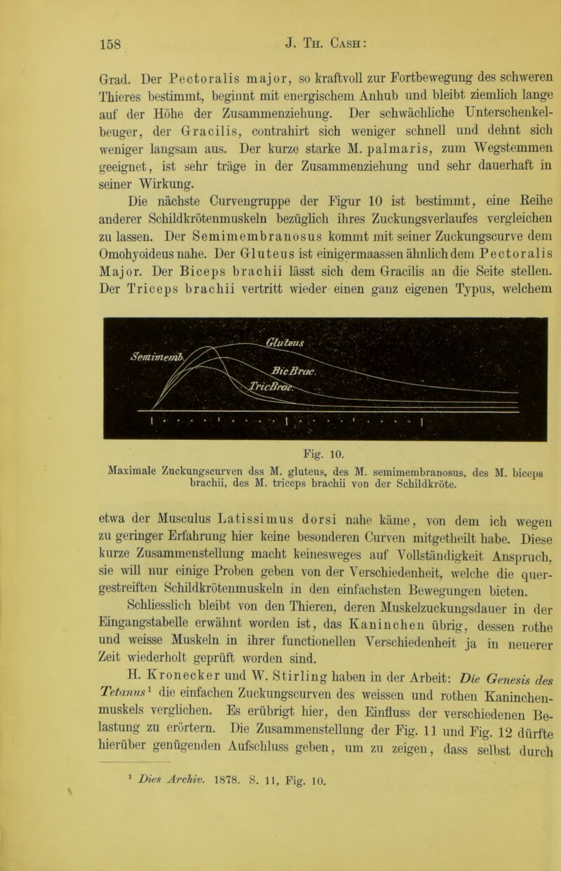 Grad. Der Pectoralis major, so kraftvoll zur Fortbewegung des schweren Thieres bestimmt, begiunt mit energischem Anhub und bleibt ziemlich lange auf der Höhe der Zusammenziehung. Der schwächliche Unterschenkel- beuger, der Gracilis, contrahirt sich weniger schnell und dehnt sich weniger langsam aus. Der kurze starke M. palmaris, zum Wegstemmen geeignet, ist sehr träge in der Zusammenziehung und sehr dauerhaft in seiner Wirkung. Die nächste Curvengruppe der Figur 10 ist bestimmt, eine Reihe anderer Schildkrötenmuskeln bezüglich ihres Zuckungsverlaufes vergleichen zu lassen. Der Semimembranosus kommt mit seiner Zuckungscurve dem Omohyoideus nahe. Der Gl u t e u s ist einigermaassen ähnlich dem Pectoralis Major. Der Biceps brachii lässt sich dem Gracilis an die Seite stellen. Der Triceps brachii vertritt wieder einen ganz eigenen Typus, welchem Fig. 10. Maximale Zuckuugscurven dss M. gluteus, des M. semimembranosus, des M. biceps brachii, des M. triceps brachii von der Schildkröte. etwa der Musculus Latissimus dorsi nahe käme, von dem ich wegen zu geringer Erfahrung hier keine besonderen Curven mitgetheilt habe. Diese kurze Zusammenstellung macht keinesweges auf Vollständigkeit Anspruch, sie will nur einige Proben geben von der Verschiedenheit, welche die quer- gestreiften Schildkrötenmuskeln in den einfachsten Bewegungen bieten. Schliesslich bleibt von den Thieren, deren Muskelzuckungsdauer in der Eingangstabelle erwähnt worden ist, das Kaninchen übrig, dessen rothe und weisse Muskeln in ihrer functioneilen Verschiedenheit ja in neuerer Zeit wiederholt geprüft worden sind. H. Krön eck er und W. Stirling haben in der Arbeit: Die Genesis des Tetanus1 die einfachen Zuckuugscurven des weissen und rothen Kaninchen- muskels verglichen. Es erübrigt hier, den Einfluss der verschiedenen Be- lastung zu erörtern. Die Zusammenstellung der Fig. 11 und Fig. 12 dürfte hierüber genügenden Aufschluss geben, um zu zeigen, dass selbst durch 1 Dies Archiv. 1878. S. 11, Fig. 10.