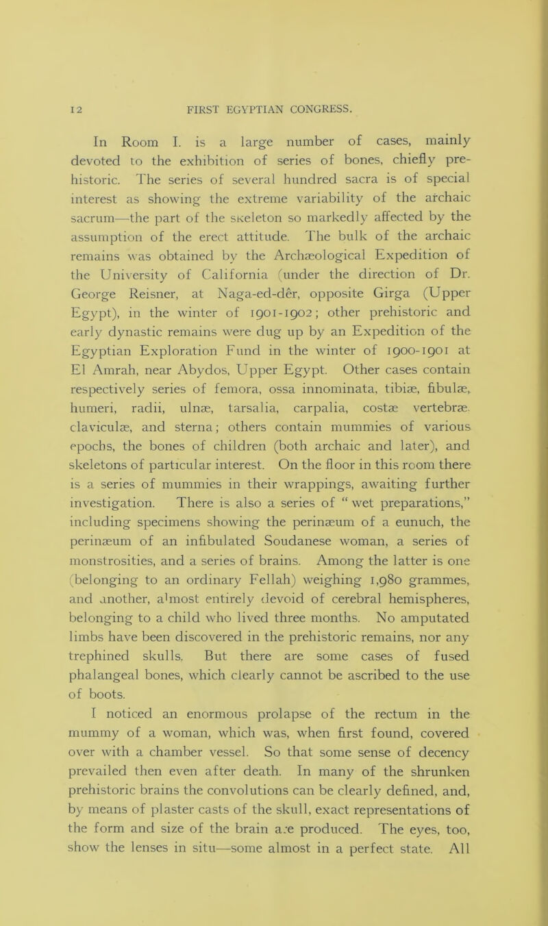 In Room I. is a large number of cases, mainly devoted to the exhibition of series of bones, chiefly pre- historic. The series of several hundred sacra is of special interest as showing the extreme variability of the archaic sacrum—the part of the siceleton so markedly affected by the assumption of the erect attitude. The bulk of the archaic remains was obtained by the Archaeological Expedition of the University of California (under the direction of Dr. George Reisner, at Naga-ed-der, opposite Girga (Upper Egypt), in the winter of 1901-1902; other prehistoric and early dynastic remains were dug up by an Expedition of the Egyptian Exploration Fund in the winter of 1900-1901 at El Amrah, near Abydos, Upper Egypt. Other cases contain respectively series of femora, ossa innominata, tibiae, fibulae, humeri, radii, ulnae, tarsalia, carpalia, costae vertebrae, claviculae, and sterna; others contain mummies of various epochs, the bones of children (both archaic and later), and skeletons of particular interest. On the floor in this room there is a series of mummies in their wrappings, awaiting further investigation. There is also a series of “ wet preparations,” including specimens showing the perinasum of a eunuch, the perinaeum of an infibulated Soudanese woman, a series of monstrosities, and a series of brains. Among the latter is one (belonging to an ordinary Fellah) weighing 1,980 grammes, and another, a1 most entirely devoid of cerebral hemispheres, belonging to a child who lived three months. No amputated limbs have been discovered in the prehistoric remains, nor any trephined skulls. But there are some cases of fused phalangeal bones, which clearly cannot be ascribed to the use of boots. I noticed an enormous prolapse of the rectum in the mummy of a woman, which was, when first found, covered over with a chamber vessel. So that some sense of decency prevailed then even after death. In many of the shrunken prehistoric brains the convolutions can be clearly defined, and, by means of plaster casts of the skull, exact representations of the form and size of the brain a:e produced. The eyes, too, show the lenses in situ—some almost in a perfect state. All