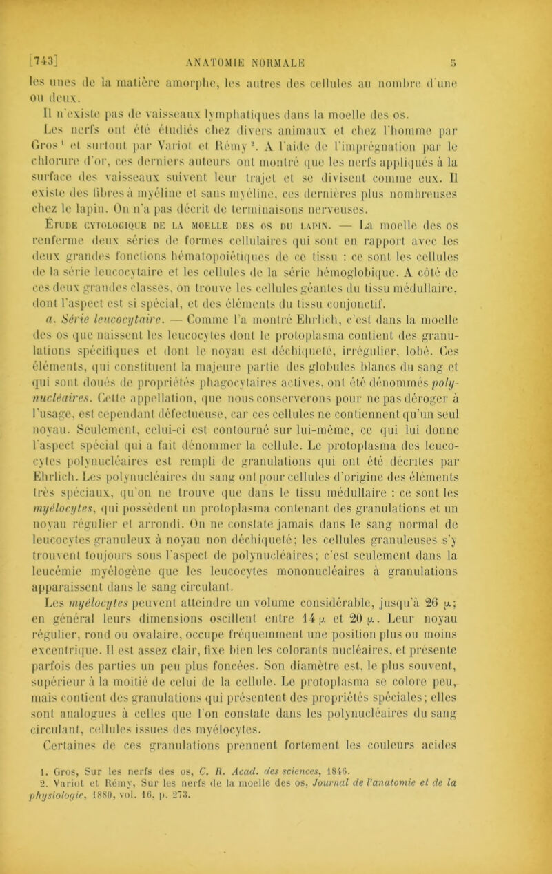 AN A TOM IK NORMALE [■7i3] ANATOMIE NORMALE R les oiu's (le la inalit*rc amorphe, h‘s autres des cellules au uomhre d’une ou deux. 11 u'(‘xis(e pas de vaisseaux lymphalhpies dans la moelle des os. Les nerfs ont (dé étudiés chez divers animaux et chez riiomme par Gros' et surtout par Variol (d Rémy L A Laide de rim[)ré}i-uaiiou par le chlorure d'or, ces d(*ruiers aideurs ont montré ([iie les nerfs appliipiés à la surface des vaisseaux suivent leur trajet et se divisent comme eux. Il exist(‘ des libres à myéline et sans m\éline, ces dernières plus nomhreuses chez le lapin. On n’a pas décrit de terminaisons nerveuses. ÉtLUE CYTOLOCIQLE DE I.A MOELLE DES OS DU LAIMX. — La moellc (h'S OS renferme deux séries de formes celhdaires (pu sont en rap|)ort avec les denx grandes fonctions hémalopoiélupies de ce tissu ; ce sont les cellules de la série leucoc\taire et les celhdes de la série hémoglohi(|ue. A c(‘)té de ces (h'ux grandes classes, on trouve les cellules géantes du tissu médullaire, dont l’aspect (‘st si spécial, et des élénumls dn tissu conjonctif. a. Série leucocytaire. — Gomme La montré Ehriich, c’est dans la moelle des os (jne naissent les leucocytes dont le proto[dasma contient des granu- lations spécili(|nes et dont le noyau est déchi(iuelé, irrégulier, lobé. Ces éléments, (|ui constituent la nuijenre partie des glohides blancs dn sang et (jiii sont doués de propriétés phagocytaires actives, ont été dénommés po///- uucléuires. Cette appellation, (pie nous conserverons pour ne pas dérogei à l’nsage, est cependant défectneuse, cai‘ ces cellules ne contiennent (pi’un seul noyau. Seulement, celui-ci est contourné sur lui-même, ce (jui lui donne l’aspect spécial (pii a fait dénommer la cellule. Le protoplasma des leuco- cytes polynucléaires est rempli de granulations (pii ont été décrites par Kdirlich. Les polynucléaires du sang ont pour cellules d’origine des éléments très spéciaux, (pi’on ne trouve ipie dans le tissu médullaire ; ce sont les myélocytes, (pii possèdent un protoplasma contenant des granulations et un noyau régulier et arrondi. On ne constate jamais dans le sang normal de leucocytes granuleux à noyau non déchiipieté; les cidlules granuleuses s’y trouvent toujours sous l’aspect de polynucléaires; c’est seulement dans la leucémie myélogène (pie les leucocytes mononucléaires à granulations apparaissent dans le sang circulant. Les myélocytes pauxcui atteindre un volume considérable, jiisipi’à '26 g; en général leurs dimensions oscillent entre L4 g et 20 g. Leur noyau régulier, rond ou ovalaire, occupe fréipiemment une position pinson moins excenlriipie. Il est assez clair, fixe bien les colorants nucléaires, et présente parfois des parties un peu plus foncées. Son diamètre est, le plus souvent, supérieur à la moitié de celui de la cellule. Le protoplasma se colore peu, mais contient des granulations ipii présentent des propriétés spéciales; elles sont analogues à celles ipie l’on constate dans les polynucléaires du .sang circulant, cellules issues des myélocytes. Certaines de ces granulations prennent fortement les couleurs acides 1. Gros, Sur les nerfs des os, C. R. Acad, des sciences, 18'»6. 2. Variol el Rémy, Sur les nerfs île la moelle des os, Journal de Vanalomie et de la phtjsiolotjie, 1880, vol. 10, p. 27.8.