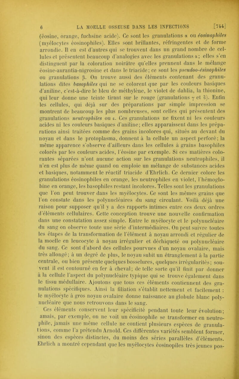 (éosine, orange, fnclisinc aci(le). Ce sont les granulations a on éosinophiles (myélocytes éosinophiles). Elles sont l)rillanles, réfringentes et tie forme arrondie. Il en est d'autres (jiii se trouvent dans un grand nombre de cel- lules et présentent beaucoup d'analogies avec les grannlalions a; elles s'en distinguent par la coloration noirâli'c qu’elles prenneni dans le mélange éosine-anrantia-nigrosine et dans le (riacide; ce soni les pseudoo-ésinophiles ou granulations p. On trouve aussi des éléments contenant des granu- lations dites basophiles qui ne se colorent (pie pai* les couleurs basi(iues d'aniline, c’est-à-dire le bleu de méthylène, le violet de dahlia, la Ihionine, qui leur donne une teinte tirant sur le rouge (granulalions y et o). Enfin les cellules, (pii déjà sur des prépara lions par simple impression se montrent de hcancoup les plus nombi-euses, sont celles (pii présentent des granulations neutrophiles ou e. Ces granulalions ne fixent ni les couleurs acides ni les couleurs basiques d'aniline; elles apparaissent dans les prépa- rations ainsi traitées comme des grains incolores qui, situés au devant du noyau et dans le protoplasma, donnent à la cellule un aspect perforé; la même apparence s’observe d'ailleurs dans les cellules à grains basoiihiles colorés par les couleurs acides, l'éosine par exemple. Si ces matières colo- rantes séparées n’ont aucune action sur les granulations neulrojdiiles, il n’en est plus de même quand on emploie un mélange de substances acides et basiques, notamment le réactif triacide d'Ehrlich. Ce dernier colore les granulations éosinophiles en orange, les neutrophiles en violet, l'hémoglo- bine en orange, les basophiles restant incolores. Telles sont les granulalions que l’on peut trouver dans les myélocytes. Ce sont les mêmes grains cpie l’on constate dans les polynucléaires du sang circulant. Voilà déjà une raison pour supposer qu'il y a des raj)ports intimes entre ces deux ordres d'éléments cellulaires. Cette conception trouve une nouvelle confirmation dans une conslatation assez simple. Entre le myélocyte et le polynucléaire du sang on ol)servc toute une série d’intermédiaii'es. On peut suivre toutes les étapes de la transformation de l’élément à noyau an-ondi et régulier d(i la moelle en leucocyte à noyau irrégulier et déchiqueté ou j)olynuoléaire du sang. Ce sont d’abord des cellules pourvues d’un noyau ovalaire, mais très allongé; à un degré de plus, le noyau subit un étranglement à la i)artie centrale, ou bien présente quelques bosselures, quelques irrégularités; sou- vent il est contourné en fer à cheval; de telle sorte (ju'il finit i>ar donner à la cellule l'aspect du polynucléaire typi(jue (|ui se trouve également dans le tissu médidlaire. Ajoutons (|ue tous ces éléments contiennent des gra- nulations spécifuiues. Ainsi la filiation s’établit nettement et facilement : le myélocyte à gros noyau ovalaire donne naissance au globule blanc poly- nucléaire que nous retrouvons dans le sang. Ces éléments conservent leur spécificité pendant tonte leur évolution ; amais, par exemple, on ne voit un éosinopbile se transformer en neutro- phile, jamais une même cellnle ne contient plusieurs espèces de granula- lions, comme l’a prétendu Aiaiold. Ces dilférentes variétés semblent former, sinon des espèces distinctes, du moins des séries parallèles d’éléments. Ehrlich a montré cependant que les myélocytes éosinopiles très jeunes pos-