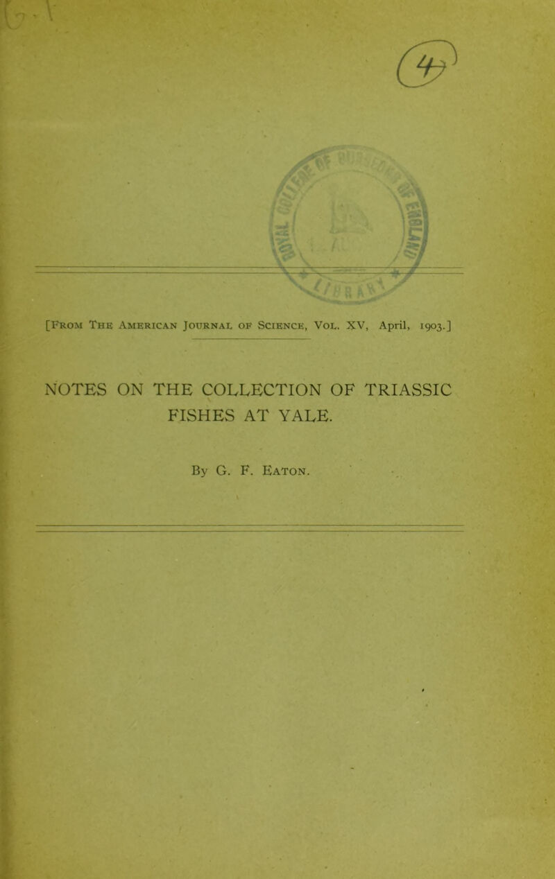 [From The American Journal of Science, Vol. XV, April, 1903.] NOTES ON THE COLLECTION OF TRIASSIC FISHES AT YALE. By G. F. Eaton.