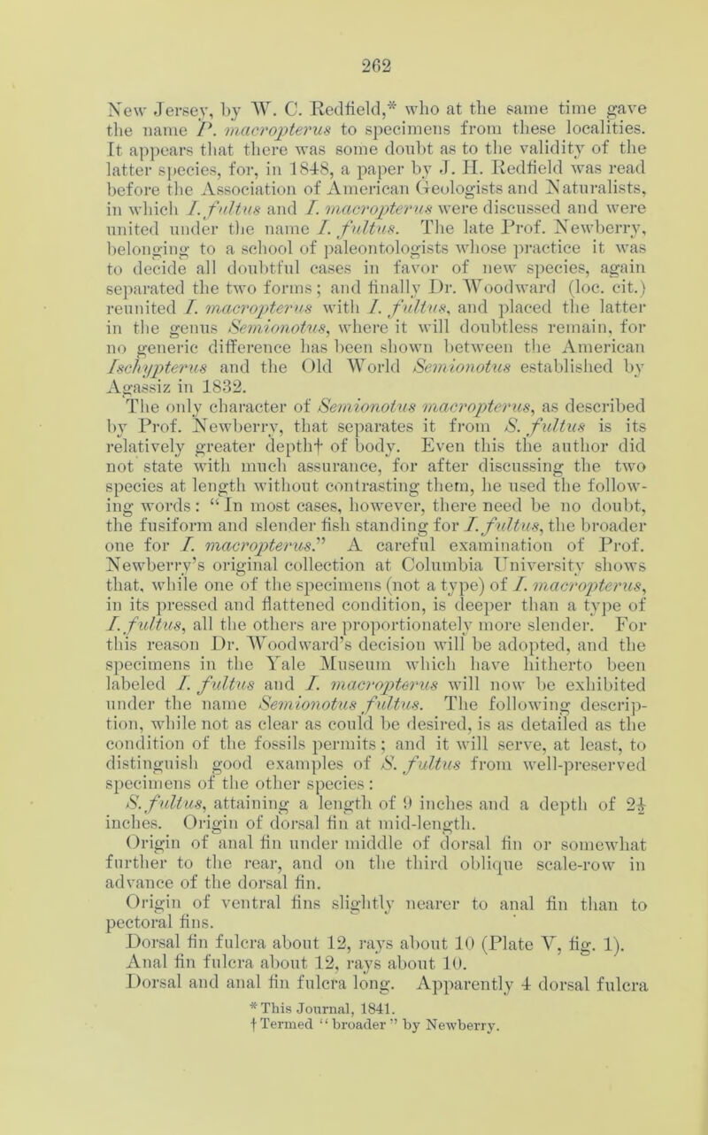 New Jersey, by W. C. Redfield,* who at the same time gave the name P. macropterus to specimens from these localities. It appears that there was some doubt as to the validity of the latter species, for, in 1848, a paper by J. H. Redfield was read before the Association of American Geologists and Naturalists, in which I. fultus and I. macropterus were discussed and were united under the name /. fultus. The late Prof. Newberry, belonging to a school of paleontologists whose practice it was to decide all doubtful cases in favor of new species, again separated the two forms; and finally Dr. Woodward (loc. cit.) reunited I. macropterus with 1. fultus, and placed the latter in the genus Semionotus, where it will doubtless remain, for no generic difference has been shown between the American Tschypterus and the Old World Semionotus established by Agassiz in 1832. The only character of Semionotus macropterus, as described by Prof. Newberry, that separates it from S. fultus is its relatively greater depthf of body. Even this the author did not state with much assurance, for after discussing the two species at length without contrasting them, he used the follow- ing words : “ In most cases, however, there need be no doubt, the fusiform and slender fish standing for I fultus, the broader one for I. macropterusP A careful examination of Prof. Newberry’s original collection at Columbia University shows that, while one of the specimens (not a type) of I. macropterus, in its pressed and flattened condition, is deeper than a type of I. fultus, all the others are proportionately more slender. For this reason Dr. Woodward’s decision will be adopted, and the specimens in the Yale Museum which have hitherto been labeled I. fultus and I macropterus will now be exhibited under the name Semionotus fultus. The following descrip- tion, while not as clear as could be desired, is as detailed as the condition of the fossils permits; and it will serve, at least, to distinguish good examples of S. fultus from well-preserved specimens of the other species : S. f ultus, attaining a length of 9 inches and a depth of 2^ inches. Origin of dorsal tin at mid-length. Origin of anal fin under middle of dorsal flu or somewhat further to the rear, and on the third oblique scale-row in advance of the dorsal fin. Origin of ventral fins slightly nearer to anal fin than to pectoral fins. Dorsal fin fulcra about 12, rays about 10 (Plate Y, fig. 1). Aual fiu fulcra about 12, rays about 10. Dorsal and anal fin fulcra long. Apparently 4 dorsal fulcra *This Journal, 1841. f Termed “broader ” by Newberry.