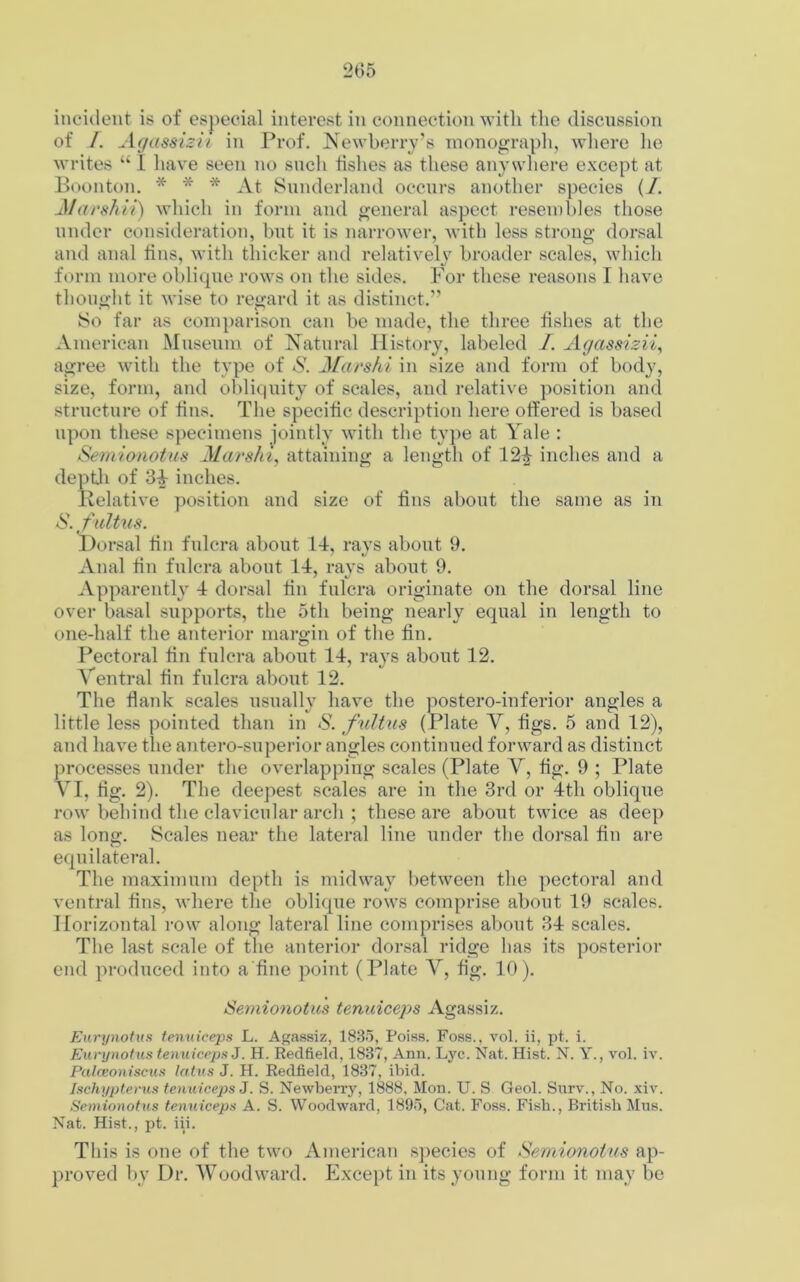 incident is of especial interest in connection with the discussion of /. Agassiz it in Prof. Newberry’s monograph, where he writes “ 1 have seen no such fishes as these anywhere except at Boonton. * * * At Sunderland occurs another species (/. JMarshii) which in form and general aspect resembles those under consideration, but it is narrower, with less strong dorsal and anal fins, with thicker and relatively broader scales, which form more oblique rows on the sides. For these reasons I have thought it wise to regard it as distinct.” So far as comparison can be made, the three fishes at the American Museum of Natural History, labeled /. Agassizii, agree with the type of S. Marshi in size and form of body, size, form, and obliquity of scales, and relative position and structure of fins. The specific description here offered is based upon these specimens jointly with the type at Yale : Semionotus Marsht, attaining a length of 12£ inches and a depth of 34 inches. Relative position and size of fins about the same as in S. fultus. Dorsal tin fulcra about 14, rays about 9. Anal fin fulcra about 14, rays about 9. Apparently 4 dorsal fin fulcra originate on the dorsal line over basal supports, the 5th being nearly equal in length to one-half the anterior margin of the fin. Pectoral fin fulcra about 14, rays about 12. Ventral fin fulcra about 12. The flank scales usually have the postero-inferior angles a little less pointed than in S. fultus (Plate V, figs. 5 and 12), and have the antero-superior angles continued forward as distinct processes under the overlapping scales (Plate V, fig. 9 ; Plate YI, fig. 2). The deepest scales are in the 3rd or 4th oblique row behind the clavicular arch ; these are about twice as deep as long. Scales near the lateral line under the dorsal fin are equilateral. The maximum depth is midway between the pectoral and ventral fins, where the oblique rows comprise about 19 scales. Horizontal row along lateral line comprises about 34 scales. The last scale of the anterior dorsal ridge has its posterior end produced into a fine point (Plate Y, fig. 10). Semionotus tenuiceps Agassiz. Eurynotus tenuiceps L. Agassiz, 1835, Poiss. Foss., vol. ii, pt. i. Eurynotus tenuiceps J. H. Redfield, 1837, Ann. Lyc. Nat. Hist. N. Y., vol. iv. Palceoniscus latus J. H. Redfield, 1837, ibid. Ischypterus tenuiceps J. S. Newberry, 1888, Mon. U. S Geol. Surv., No. xiv. Semionotus tenuiceps A. S. Woodward, 1895, Cat. Foss. Fish., British Mus. Nat. Hist., pt. iii. This is one of the two American species of Semionotus ap- proved by Dr. Woodward. Except in its young form it may be