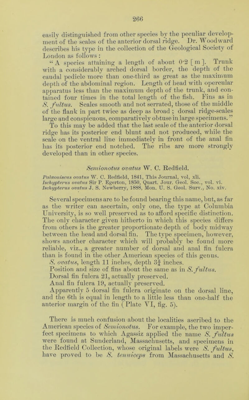 easily distinguished from other species by the peculiar develop- ment of the scales of the anterior dorsal ridge. Dr. Woodward describes his type in the collection of the Geological Society of London as follows: “A species attaining a length of about 0*2 [m]. Trunk with a considerably arched dorsal border, the depth of the caudal pedicle more than one-third as great as the maximum depth of the abdominal region. Length of head with opercular apparatus less than the maximum depth of the trunk, and con- tained four times in the total length of the fish. Fins as in S. fultus. Scales smooth and not serrated, those of the middle of the flank in part twice as deep as broad ; dorsal ridge-scales large and conspicuous, comparatively obtuse in large specimens. ” To this may be added that the last scale of the anterior dorsal ridge has its posterior end blunt and not produced, while the scale on the ventral line immediately in front of the anal fin has its posterior end notched. The ribs are more strongly developed than in other species. Semionotus ovatus W. C. Redfield. Palceoniscus ovatus W. C. Eedfield, 1841, This Journal, vol, xli. Ischypterus ovatus Sir P. Egerton, 1850, Quart. Jour. Geol. Soc., vol. vi. Ischypterus ovatus J. S. Newberry, 1888, Mon. U. S. Geol. Surv., No. xiv. Several specimens are to be found bearing this name, but, as far as the writer can ascertain, only one, the type at Columbia University, is so well preserved as to afford specific distinction. The only character given hitherto in which this species differs from others is the greater proportionate depth of body midway between the head and dorsal fin. The type specimen, however, shows another character which will probably be found more reliable, viz., a greater number of dorsal and anal fin fulcra than is found in the other American species of this genus. S. ovatus, length 11 inches, depth 3£ inches. Position and size of fins about the same as in S. fultus. Dorsal fin fulcra 21, actually preserved. Anal fin fulcra 19, actually preserved. Apparently 5 dorsal fin fulcra originate on the dorsal line, and the 6th is equal in length to a little less than one-half the anterior margin of the fin ( Plate VI, fig. 5). There is much confusion about the localities ascribed to the American species of Semionotus. For example, the two imper- fect specimens to which Agassiz applied the name S. f ultus were found at Sunderland, Massachusetts, and specimens in the Redfield Collection, whose original labels were S. fultus, have proved to be S. tenuiceps from Massachusetts and S.