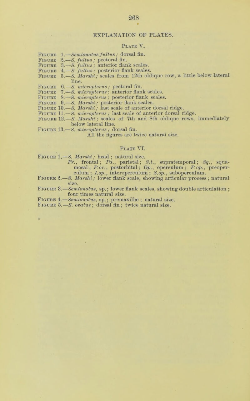 Figure 1. Figure 2. Figure 3. Figure 4. Figure 5. Figure 6. Figure 7. Figure 8. Figure 9. Figure 10. Figure 11. Figure 12. Figure 13.- Figure 1. Figure 2. Figure 3. Figure 4. Figure 5. EXPLANATION OF PLATES. Plate V. ■Semionotus fultus ; dorsal fin. ■S. fultus; pectoral fin. ■S. fultus; anterior flank scales. ■S. fultus; posterior flank scales. ■S. Marshi; scales from 12tli oblique row, a little below lateral line. ■S. micropterus ; pectoral fin. S. micropterus; anterior flank scales. S. micropterus; posterior flank scales. ■S. Marshi; posterior flank scales. ■S. Marshi; last scale of anterior dorsal ridge. S. micropterus; last scale of anterior dorsal ridge. ■S. Marshi; scales of 7tb and 8th oblique rows, immediately below lateral line. S. micropterus; dorsal fin. All the figures are twice natural size. Plate VI. ■S. Marshi; head ; natural size. Fr., frontal; Fa., parietal; S.t., supratemporal; Sq., squa- mosal; P.or., postorbital; Op., operculum; P.op., preoper- culum; I.op., interoperculum; S.op., suboperculum. ■S. Marshi ; lower flank scale, showing articular process ; natural size. ■Semionotus, sp.; lower flank scales, showing double articulation ; four times natural size. ■Semionotus, sp.; premaxillae ; natural size. -S. ovatus ; dorsal fin ; twice natural size.