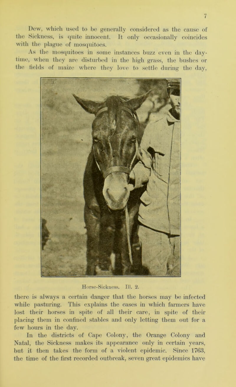Dow, which used to be generally considered as the cause of the Sickness, is quite innocent. It only occasionally coincides with the plague of mosquitoes. As the mosquitoes in some instances buzz even in the day- time, when they an? disturbed in the high grass, the bushes or the fields of maize where they love to settle during the day, Horse-Sickness. 111. 2. there is always a certain danger that the horses may be infected while pasturing. This explains the cases in which farmers have lost their horses in spite of all their care, in spite of their placing them in confined stables and only letting them out for a few hours in the day. In the districts of Cape Colony, the Orange Colony and Natal, the Sickness makes its appearance only in certain years, but it then takes the form of a violent epidemic. Since 1763, the time of the first recorded outbreak, seven great epidemics have