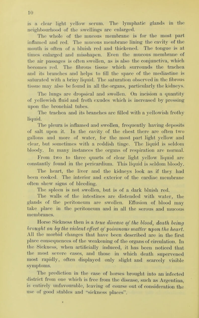 is a clear light yellow serum. The lymphatic glands in the neighbourhood of the swellings are enlarged. The whole of the mucous membrane is for the most part inflamed and red. The mucous membrane lining the cavity of the mouth is often of a bluish red and thickened. The tongue is at times enlarged and misshapen. Even the mucous membrane of the air passages is often swollen, as is also the conjunctiva, which becomes red. The fibrous tissue which surrounds the trachea and its branches and helps to fill the space of the mediastine is saturated with a briny liquid. The saturation observed in the fibrous tissue may also be found in all the organs, particularly the kidneys. The lungs are dropsical and swollen. On incision a quantity of yellowish fluid and froth exudes which is increased by pressing upon the bronchial tubes. The trachea and its branches are filled with a yellowish frothy liquid. The pleura is inflamed and swollen, frequently having deposits of salt upon it. In the cavity of the chest there arc often two gallons and more of water, for the most part light yellow and clear, but sometimes with a reddish tinge. The liquid is seldom bloody. In many instances the organs of respiration are normal. From two to three quarts of clear light yellow liquid are constantly found in the pericardium. This liquid is seldom bloody. The heart, the liver and the kidneys look as if they had been cooked. The interior and exterior of the cardiac membrane often shew signs of bleeding. The spleen is not swollen, but is of a dark bluish red. The walls of the intestines are distended with water, the glands of the peritoneum are swollen. Effusion of blood may take place in the peritoneum and in all the serous and mucous membranes. Horse Sickness then is a true disease of the blood, death being brought on by the violent effect of poisonous matter upon the heart. All the morbid changes that have been described are in the first place consequences of the weakening of the organs of circulation. In the Sickness, when artificially induced, it has been noticed that the most severe cases, and those in which death supervened most rapidly, often displayed only slight and scarcely visible symptoms. 1 lie prediction in the case of horses brought into an infected district from one which is free from the disease, such as Argentina, is entirely unfavourable, leaving of course out of consideration the use of good stables and “sickness places”.
