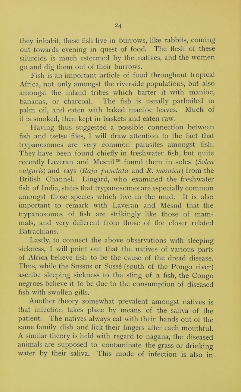 they inhabit, these fish live in burrows, like rabbits, coming out towards evening in quest of food. The flesh of these siluroids is much esteemed by the,natives, and the women go and dig them out of their burrows. Fish is an important article of food throughout tropical Africa, not only amongst the riverside populations, but also amongst the inland tribes which barter it with manioc, bananas, or charcoal. The fish is usually parboiled in palm oil, and eaten with baked manioc leaves. Much of it is smoked, then kept in baskets and eaten raw. Having thus suggested a possible connection between fish and tsetse flies, I will draw attention to the fact that trypanosomes are very common parasites amongst fish. They have been found chiefly in freshwater fish, but quite recently Laveran and MesniH^ found them in soles {Solca vulgaris) and rays {Raja punctata and R. mosaica) from the British Channel. Lingard, who examined the freshwater fish of India, states that trypanosomes are especially common amongst those species which live in the mud. It is also important to remark with Laveran and Mesnil that the trypanosomes of fish are strikingly like those of mam- mals, and very different from those of the closer related Batrachians. Lastly, to connect the above observations with sleeping sickness, I will point out that the natives of various parts of Africa believe fish to be the cause of the dread disease. Thus, while the Sussus or Sosse (south of the Pongo river) ascribe sleeping sickness to the sting of a fish, the Congo negroes believe it to be due to the consumption of diseased fish with swollen gills. Another theory somewhat prevalent amongst natives is that infection takes place by means of the saliva of the patient. The natives always eat with their hands out of the same family dish and lick their fingers after each mouthful. A similar theory is held with regard to nagana, the diseased animals are supposed to contaminate the grass or drinking water by their saliva. This mode of infection is also in