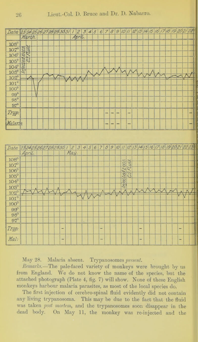 B&ts 23 2^2 S26 27 2S 2^ 30 3! / 2 J 4 3 6 7 8 9 !0 // !2 /3 14- 15 !6 !7 /8\/9 2d2! 22 \ Me A vn t. ! 1 108 107° 106° 1 105° j 104? «t ! 103° A J \ / A 7 y -f- 102° i / -A -tA -A / V t' 101° { n' 100° 1 09° 98° 97° Trpp: - - - ~ - Itldldli i - - - - - Bate 23 242. 526 27 2S 2^30 / 2 J 4 J 6 7 6 9 to // !2 !3 !4 !5 >6 !7 !8 !9 20 2! 22 73 AWil. M 108° -0-. •v: 107° 106° 105° 104° 103° A -^1 102° 7 . - -A -7 -A / / V' 7'' 7\ rA 7 J- 101° r—' V- y V-~ 4 100° 99° 98° 97° . Tryp: - - - - Mdl: - - - \ 1 ~ May 28. Malaria absent. Trypanosomes Bemarks.-—The pale-faced variety of monkeys were brought by us from England. AVe do not know the name of the species, but the attached photograph (Plate 4, fig. 7) will show. None of these English monkeys harbour malaria parasites, as most of the local species do. The first injection of cerebro-spinal fluid evidently ditl not contain any living trypanosoma. This may be due to the fact that the fluid was taken 'post mortem, and the trypanosomes soon disappear in the