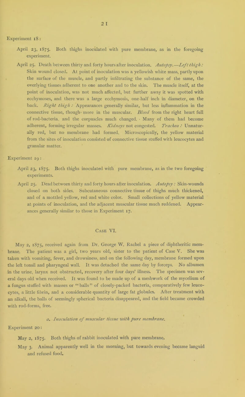 Experiment iS: April 23, 1875. Both thighs inoculated with pure membrane, as in the foregoing experiment. April 25. Death between thirty and forty hours after inoculation. Autopsy.—Left thigh: Skin wound closed. At point of inoculation was a yellowish white mass, partly upon the surface of the muscle, and partly infiltrating the substance of the same, the overlying tissues adherent to one another and to the skin. The muscle itself, at the point of inoculation, was not much affected, but further away it was spotted with ecchymoses, and there was a large ecchymosis, one-half inch in diameter, on the back. Right thigh : Appearances generally similar, but less inflammation in the connective tissue, though- more in the muscular. Blood from the right heart full of rod-bacteria, and the corpuscles much changed. • Many of them had become adherent, forming irregular masses. Kidneys not congested. Trachea : Unnatur- ally red, but no membrane had formed. Microscopically, the yellow material from the sites of inoculation consisted of connective tissue stuffed with leucocytes and granular matter. Experiment 19: April 23, 1875. Both thighs inoculated with pure membrane, as in the two foregoing experiments. April 25. Dead between thirty and forty hours after inoculation. Autopsy: Skin-wounds closed on both sides. Subcutaneous connective tissue of thighs much thickened, and of a mottled yellow, red and white color. Small collections of yellow material at points of inoculation, and the adjacent muscular tissue much reddened. Appear- ances generally similar to those in Experiment 17. Case VI. May 2, 1875, received again from Dr. George W. Rachel a piece of diphtheritic mem- brane. The patient was a girl, two years old, sister to the patient of Case V. She was taken with vomiting, fever, and drowsiness, and on the following day, membrane formed upon the left tonsil and pharyngeal wall. It was detached the same day by forceps. No albumen in the urine, larynx not obstructed, recovery after four days’ illness. The specimen was sev- eral days old when received. It was found to be made up of a meshwork of the mycelium of a fungus stuffed with masses or “balls” of closely-packed bacteria, comparatively few leuco- cytes, a little fibrin, and a considerable quantity of large fat globules. After treatment with an alkali, the balls of seemingly spherical bacteria disappeared, and the field became crowded with rod-forms, free. a. Inoculation of muscular tissue with pure membrane. Experiment 20: May 2, 1875. Both thighs of rabbit inoculated with pure membrane. May 3. Animal apparently well in the morning, but towards evening became languid and refused food.