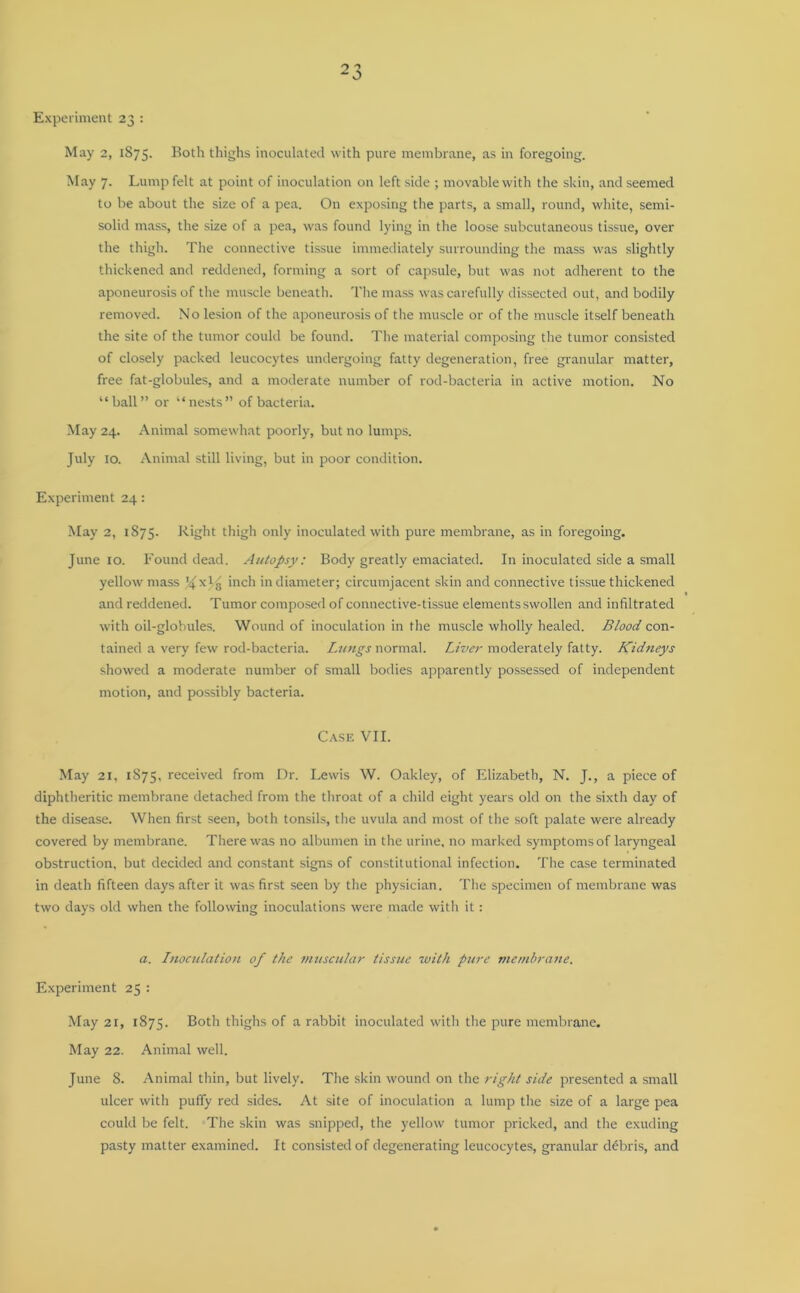 Experiment 23 : May 2, 1875. Both thighs inoculated with pure membrane, as in foregoing. May 7. Lump felt at point of inoculation on left side ; movable with the skin, and seemed to be about the size of a pea. On exposing the parts, a small, round, white, semi- solid mass, the size of a pea, was found lying in the loose subcutaneous tissue, over the thigh. The connective tissue immediately surrounding the mass was slightly thickened and reddened, forming a sort of capsule, but was not adherent to the aponeurosis of the muscle beneath. The mass was carefully dissected out, and bodily removed. No lesion of the aponeurosis of the muscle or of the muscle itself beneath the site of the tumor could be found. The material composing the tumor consisted of closely packed leucocytes undergoing fatty degeneration, free granular matter, free fat-globules, and a moderate number of rod-bacteria in active motion. No “ball” or “nests” of bacteria. May 24. Animal somewhat poorly, but no lumps. July 10. Animal still living, but in poor condition. Experiment 24: May 2, 1875. Bight thigh only inoculated with pure membrane, as in foregoing. June 10. Found dead. Autopsy: Body greatly emaciated. In inoculated side a small yellow mass Xx/8 inch 'n diameter; circumjacent skin and connective tissue thickened « and reddened. Tumor composed of connective-tissue elements swollen and infiltrated with oil-globules. Wound of inoculation in the muscle wholly healed. Blood con- tained a very few rod-bacteria. Lungs normal. Liver moderately fatty. Kidneys showed a moderate number of small bodies apparently possessed of independent motion, and possibly bacteria. Case VII. May 21, 1875, received from Dr. Lewis W. Oakley, of Elizabeth, N. J., a piece of diphtheritic membrane detached from the throat of a child eight years old on the sixth day of the disease. When first seen, both tonsils, the uvula and most of the soft palate were already covered by membrane. There was no albumen in the urine, no marked symptoms of laryngeal obstruction, but decided and constant signs of constitutional infection. The case terminated in death fifteen days after it was first seen by the physician. The specimen of membrane was two days old when the following inoculations were made with it: a. Lnoculation 0/ the muscular tissue with pure membrane. Experiment 25 : May 21, 1875. Both thighs of a rabbit inoculated with the pure membrane. May 22. Animal well. June 8. Animal thin, but lively. The skin wound on the right side presented a small ulcer with puffy red sides. At site of inoculation a lump the size of a large pea could be felt. The skin was snipped, the yellow tumor pricked, and the exuding pasty matter examined. It consisted of degenerating leucocytes, granular debris, and