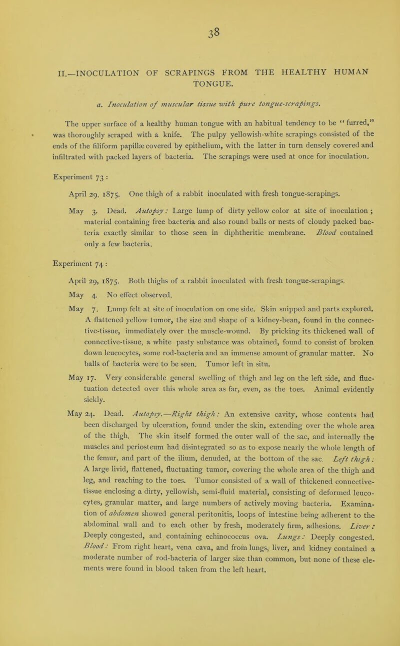 II.—INOCULATION OF SCRAPINGS FROM THE HEALTHY HUMAN TONGUE. a. Inoculation of muscular tissue with pure tongue-scrapings. The upper surface of a healthy human tongue with an habitual tendency to be “ furred,” was thoroughly scraped with a knife. The pulpy yellowish-white scrapings consisted of the ends of the filiform papillae covered by epithelium, with the latter in turn densely covered and infiltrated with packed layers of bacteria. The scrapings were used at once for inoculation. Experiment 73 : April 29, 1875. One thigh of a rabbit inoculated with fresh tongue-scrapings. May 3. Dead. Autopsy: Large lump of dirty yellow color at site of inoculation; material containing free bacteria and also round balls or nests of cloudy packed bac- teria exactly similar to those seen in diphtheritic membrane. Blood contained only a few bacteria. Experiment 74 : April 29, 1875. Both thighs of a rabbit inoculated with fresh tongue-scrapings. May 4. No effect observed. May 7. Lump felt at site of inoculation on one side. Skin snipped and parts explored. A flattened yellow tumor, the size and shape of a kidney-bean, found in the connec- tive-tissue, immediately over the muscle-wound. By pricking its thickened wall of connective-tissue, a white pasty substance was obtained, found to consist of broken down leucocytes, some rod-bacteria and an immense amount of granular matter. No balls of bacteria were to be seen. Tumor left in situ. May 17. Very considerable general swelling of thigh and leg on the left side, and fluc- tuation detected over this whole area as far, even, as the toes. Animal evidently sickly. May 24. Dead. Autopsy.—Right thigh: An extensive cavity, whose contents had been discharged by ulceration, found under the skin, extending over the whole area of the thigh. The skin itself formed the outer wall of the sac, and internally the muscles and periosteum had disintegrated so as to expose nearly the whole length of the femur, and part of the ilium, denuded, at the bottom of the sac. Left thigh. A large livid, flattened, fluctuating tumor, covering the whole area of the thigh and leg, and reaching to the toes. Tumor consisted of a wall of thickened connective- tissue enclosing a dirty, yellowish, semi-fluid material, consisting of deformed leuco- cytes, granular matter, and large numbers of actively moving bacteria. Examina- tion of abdomen showed general peritonitis, loops of intestine being adherent to the abdominal wall and to each other by fresh, moderately firm, adhesions. Liver: Deeply congested, and containing echinococcus ova. Lungs: Deeply congested. Blood: From right heart, vena cava, and from lungs, liver, and kidney contained a moderate number of rod-bacteria of larger size than common, but none of these ele- ments were found in blood taken from the left heart.