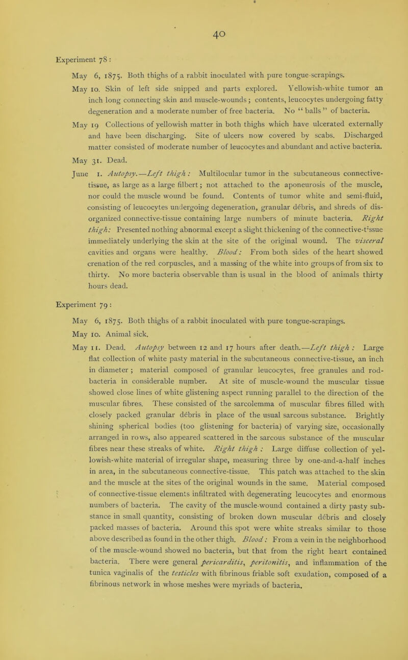 Experiment 78 : May 6, 1875. Both thighs of a rabbit inoculated with pure tongue scrapings. May 10. Skin of left side snipped and parts explored. Yellowish-white tumor an inch long connecting skin and muscle-wounds ; contents, leucocytes undergoing fatty degeneration and a moderate number of free bacteria. No “ balls ” of bacteria. May 19 Collections of yellowish matter in both thighs which have ulcerated externally and have been discharging. Site of ulcers now covered by scabs. Discharged matter consisted of moderate number of leucocytes and abundant and active bacteria. May 31. Dead. June x. Autopsy.—Left thigh : Multilocular tumor in the subcutaneous connective- tissue, as large as a large filbert; not attached to the aponeurosis of the muscle, nor could the muscle wound be found. Contents of tumor white and semi-fluid, consisting of leucocytes undergoing degeneration, granular debris, and shreds of dis- organized connective-tissue containing large numbers of minute bacteria. Right thigh: Presented nothing abnormal except a slight thickening of the connective-t:ssue immediately underlying the skin at the site of the original wound. The visceral cavities and organs were healthy. Blood: From both sides of the heart showed crenation of the red corpuscles, and a massing of the white into groups of from six to thirty. No more bacteria observable than is usual in the blood of animals thirty hours dead. Experiment 79 : May 6, 1875. Both thighs of a rabbit inoculated with pure tongue-scrapings. May 10. Animal sick. May 11. Dead. Autopsy between 12 and 17 hours after death.—Left thigh : Large flat collection of white pasty material in the subcutaneous connective-tissue, an inch in diameter ; material composed of granular leucocytes, free granules and rod- bacteria in considerable number. At site of muscle-wound the muscular tissue showed close lines of white glistening aspect running parallel to the direction of the muscular fibres. These consisted of the sarcolemma of muscular fibres filled with closely packed granular debris in place of the usual sarcous substance. Brightly shining spherical bodies (too glistening for bacteria) of varying size, occasionally arranged in rows, also appeared scattered in the sarcous substance of the muscular fibres near these streaks of white. Right thigh : Large diffuse collection of yel- lowish-white material of irregular shape, measuring three by one-and-a-half inches in area, in the subcutaneous connective-tissue. This patch was attached to the skin and the muscle at the sites of the original wounds in the same. Material composed of connective-tissue elements infiltrated with degenerating leucocytes and enormous numbers of bacteria. The cavity of the muscle-wound contained a dirty pasty sub- stance in small quantity, consisting of broken down muscular debris and closely packed masses of bacteria. Around this spot were white streaks similar to those above described as found in the other thigh. Blood: From a vein in the neighborhood of the muscle-wound showed no bacteria, but that from the right heart contained bacteria. There were general pericarditis, peritonitis, and inflammation of the tunica vaginalis of the testicles with fibrinous friable soft exudation, composed of a fibrinous network in whose meshes “were myriads of bacteria.
