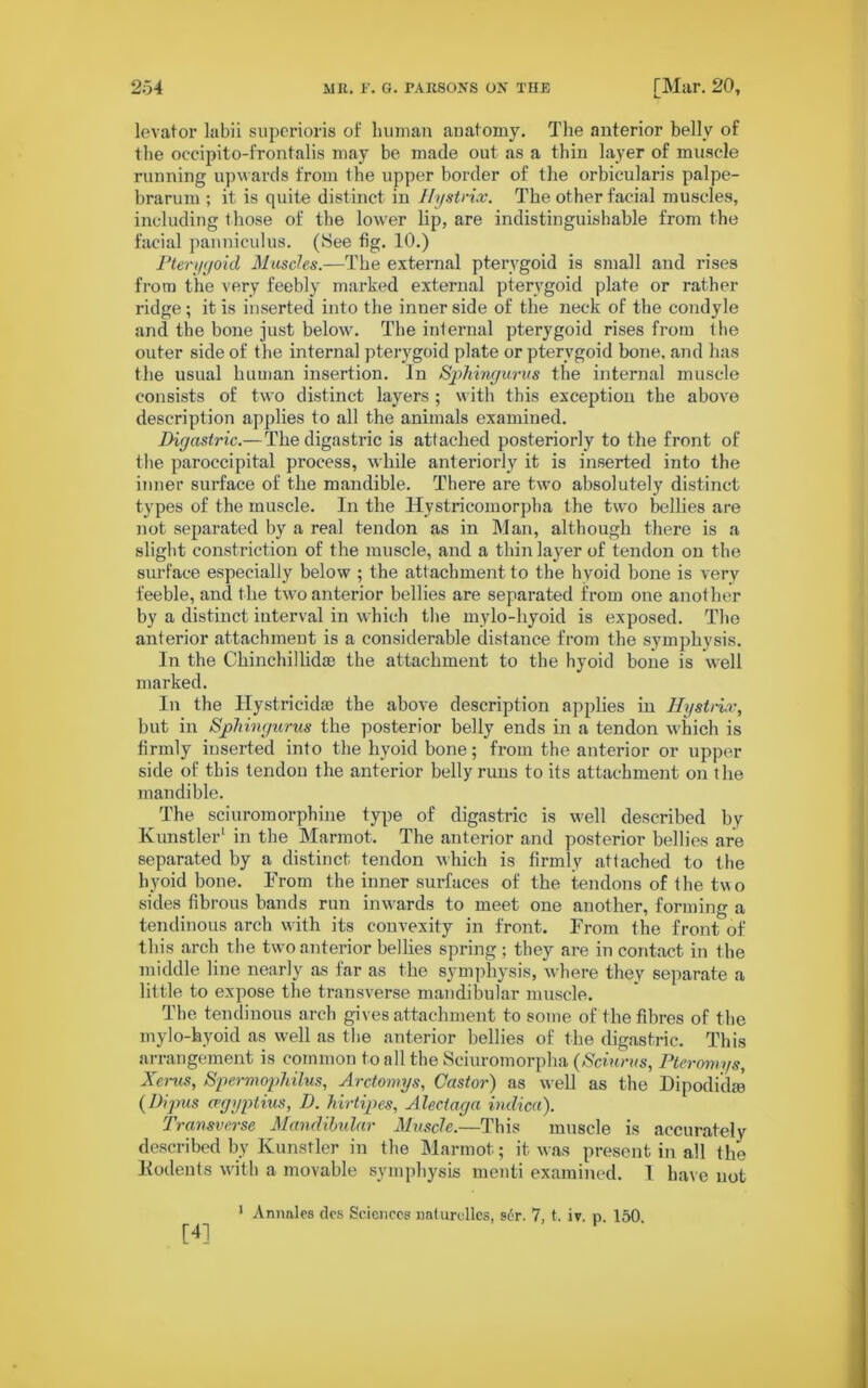 levator labii superioris of human anatomy. The anterior belly of the occipito-frontalis may be made out as a thin layer of muscle running upwards from the upper border of the orbicularis palpe- brarum ; it is quite distinct in Hystrian. The other facial muscles, including those of the lower lip, are indistinguishable from the facial panniculus. (See fig. 10.) Pterygoid Muscles.—The external pterygoid is small and rises from the very feebly marked external pterygoid plate or rather ridge; it is inserted into the inner side of the neck of the condyle and the bone just below. The internal pterygoid rises from the outer side of the internal pterygoid plate or pterygoid bone, and has the usual human insertion. In Sphingurus the internal muscle consists of two distinct layers ; with this exception the above description applies to all the animals examined. Digastric.— The digastric is attached posteriorly to the front of the paroccipital process, while anteriorly it is inserted into the inner surface of the mandible. There are two absolutely distinct types of the muscle. In the Hystricomorpha the two bellies are not separated by a real tendon as in Man, although there is a slight constriction of the muscle, and a thin layer of tendon on the surface especially below ; the attachment to the hyoid bone is very feeble, and the two anterior bellies are separated from one another by a distinct interval in which the mylo-hyoid is exposed. The anterior attachment is a considerable distance from the symphysis. In the Chinchillkke the attachment to the hyoid bone is well marked. In the Hystricidae the above description applies in Hystncc, but in Sphingurus the posterior belly ends in a tendon which is firmly inserted into the hyoid bone; from the anterior or upper side of this tendon the anterior belly runs to its attachment on the mandible. The sciuromorphine type of digastric is well described by Kunstler1 in the Marmot. The anterior and posterior bellies are separated by a distinct tendon which is firmly attached to the hyoid bone. From the inner surfaces of the tendons of the two sides fibrous bands run inwards to meet one another, forming a tendinous arch with its convexity in front. From the front of this arch the two anterior bellies spring ; they are in contact in the middle line nearly as far as the symphysis, where they separate a little to expose the transverse mandibular muscle. The tendinous arch gives attachment to some of the fibres of the mylo-hyoid as well as the anterior bellies of the digastric. This arrangement is common to all the Sciuromorpha (Sciurus, Pteromys, Xerus, Spermophilus, Arctomys, Castor) as well as the Dipodithe (Dipus cegyptius, D. hirtipes, Alectaga indica). Transverse Mandibular Muscle.—This muscle is accurately described by Kunstler in the Marmot; it was present in all the Kodents with a movable symphysis menti examined. I have not 1 Annales des Sciences nafurollcs, s6r. 7, t. iv. n. 150 [4]