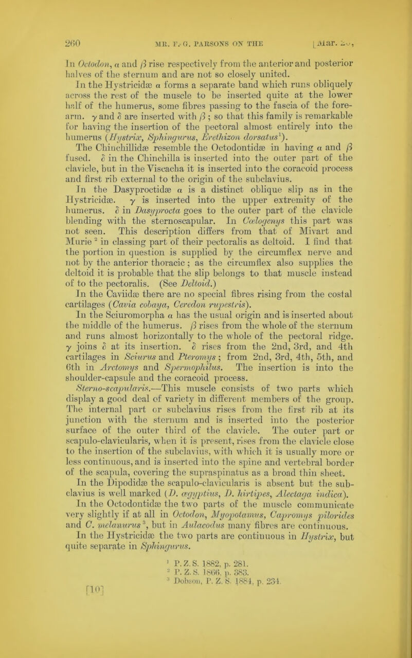 In Octodon, a and ft rise respectively from the anterior and posterior halves of the sternum and are not so closely united. 1 n the Hystricidte a forms a separate band which runs obliquely across the rest of the muscle to be inserted quite at the lower half of the humerus, some fibres passing to the fascia of the fore- arm. y and 8 are inserted with ft ; so that this family is remarkable for having the insertion of the pectoral almost entirely into the humerus (Hystrix, Sphingurus, Erethizon dorsatus1). The ChinchillidcB resemble the Octodontidae in having a and ft fused, c in the Chinchilla is inserted into the outer part of the clavicle, but in the Viseacha it is inserted into the coracoid process and first rib external to the origin of the subclavius. In the Dasyproctidae a is a distinct oblique slip as in the Hystricidse. y is inserted into the upper extremity of the humerus. S in Dasyprocta goes to the outer part of the clavicle blending with the sternoscapular. In Coelogenys this part was not seen. This description differs from that of Mivart and Murie 2 in classing part of their peetoralis as deltoid. I find that the portion in question is supplied by the circumflex nerve and not by the anterior thoracic; as the circumflex also supplies the deltoid it is probable that the slip belongs to that muscle instead of to the peetoralis. (See Deltoid.) Jn the Caviida) there are no special fibres rising from the costal cartilages (Cavia cobay a, Ceredon rupestris). In the Sciuromorpha a has the usual origin and is inserted about the middle of the humerus, ft rises from the whole of the sternum and runs almost horizontally to the whole of the pectoral ridge, y joins t) at its insertion. S rises from the 2nd, 3rd, and 4th cartilages in Sciurus and Pteromys; from 2nd, 3rd, 4th, 5th, and Oth in Arctomys and Spermophilus. The insertion is into the shoulder-capsule and the coracoid process. Sterno-scapularis.—This muscle consists of two parts which display a good deal of variety in different members of the group. The internal part or subclavius rises from the first rib at its junction with the sternum and is inserted into the posterior surface of the outer third of the clavicle. The outer part or scapulo-clavicularis, when it is present, rises from the clavicle close to the insertion of the subclavius, with which it is usually more or less continuous, and is inserted into the spine and vertebral border of the scapula, covering the supraspinatus as a broad thin sheet. In the Dipodidse the scapulo-clavicularis is absent but the sub- clavius is well marked (D. cegyptius, D. hirtipes, Alectaga indica). In the Octodontidae the two parts of the muscle communicate very slightly if at all in Octodon, Myopotamus, Capromys pilorides and C. mclanurus3, but in Aulacodus many fibres are continuous. In the Hystricida) the two parts are continuous in Hystrix, hut quite separate in Sphingurus. 1 P. Z. S. 1882, p. 281. 2 P. Z.8. 18(iB. p. 383. :i Dobson, P. Z. 8. 1881, p. 234. [10]