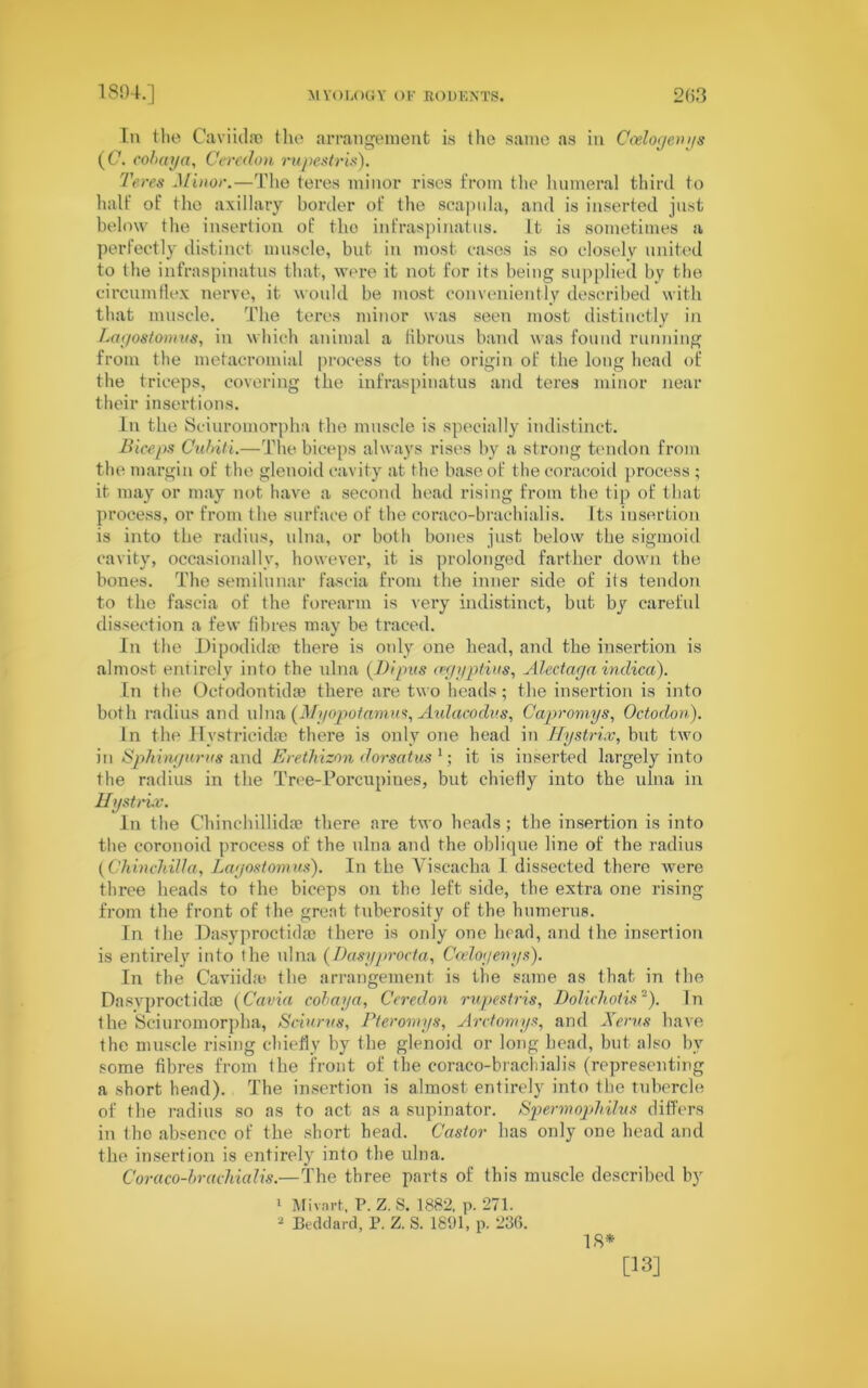 In the Caviidfo the arrangement is the same as in Ccelogeuys (C. cohay a, Ceredon rupestris). Teres Minor.—The teres minor rises from the humeral third to half of the axillary border of the scapida, and is inserted just below the insertion of tho infraspinatus. It is sometimes a perfectly distinct muscle, but in most cases is so closely united to the infraspinatus that, were it not for its being supplied by the circumflex nerve, it would be most conveniently described with that muscle. The teres minor was seen most distinctly in Layostomus, in which animal a fibrous band was found running from the metacromial process to the origin of the long head of the triceps, covering the infraspinatus and teres minor near their insertions. In the Sciuromorpha the muscle is specially indistinct. Biceps Cubiti.—The biceps always rises by a strong tendon from the margin of the glenoid cavity at the base of the coracoid process ; it may or may not have a second head rising from the tip of that process, or from the surface of the coraco-brachialis. Its insertion is into the radius, ulna, or both bones just below the sigmoid cavity, occasionally, however, it is prolonged farther down the bones. The semilunar fascia from the inner side of its tendon to the fascia of the forearm is very indistinct, but by careful dissection a few fibres may be traced. In the Dipodidfe there is only one head, and the insertion is almost entirely into the ulna (Dipus (egyptius, Alectaga indica). In the Octodontidse there are two heads; the insertion is into both radius and ulna (Myopotamus, Aidctcodus, Capromys, Octodori). In the ITystrickhe there is only one head in Hystrix, but two in Sphingurus and Erethizon dorsatus1; it is inserted largely into the radius in the Tree-Porcupines, but chietly into the ulna in Hystrix. In the Chinchillidre there are two heads; the insertion is into the coronoid process of the ulna and the oblique line of the radius (Chinchilla, Layostomus). In the Yiscacha 1 dissected there were three heads to the biceps on the left side, the extra one rising from the front of the great tuberosity of the humerus. In the Dasyproctidse there is only one head, and the insertion is entirely into the ulna (Dasyprocta, Ccelogeuys). In the Caviidm the arrangement is the same as that in the Dasyproctidae (Cavia cohaya, Ceredon rupestris, Dolichotis2). In the Sciuromorpha, Sciurus, Pteromys, Arctomys, and Xerus have the muscle rising chiefly by the glenoid or long bead, but also by some fibres from the front of the coraco-brachialis (representing a short head). The insertion is almost entirely into the tubercle of the radius so as to act as a supinator. Spermophilus differs in the absence of the short head. Castor has only one head and the insertion is entirely into the ulna. Coraco-brachialis.—The three parts of this muscle described by 1 Mivart, P. Z. S. 1882, p. 271. 2 Beddard, P. Z. S. 1891, p. 236. IS* [13]