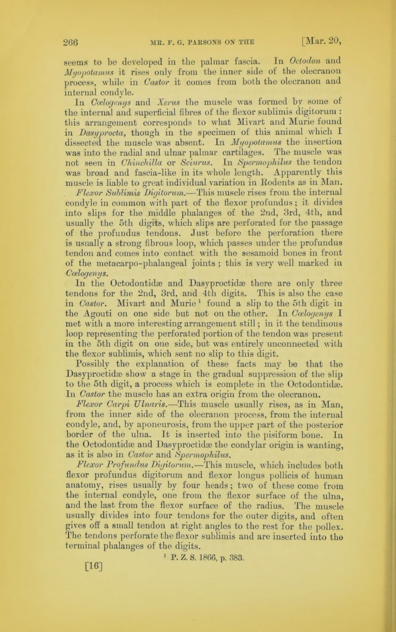 seems to be developed in the palmar fascia. In Octoclon and Myopotamus it rises only from the inner side of the olecranon process, while in Ccustor it comes from both the olecranon and internal condyle. In Coelogenys and Xerus the muscle was formed by some of the internal and superficial fibres of the flexor sublimis digitorum : this arrangement corresponds to what Mivart and Murie found in Dasyprocta, though in the specimen of this animal which I dissected the muscle was absent. In Myopotamus the insertion was into the radial and ulnar palmar cartilages. The muscle was not seen in Chinchilla or Sciurus. In Spermophilus the tendon was broad and fascia-like in its whole length. Apparently this muscle is liable to great individual variation in Bodents as in Man. Flexor Sublimis Digitorum.—This muscle rises from the internal condyle in common with part of the flexor profundus; it divides into slips for the middle phalanges of the 2nd, 3rd, 4th, and usually the 5th digits, which slips arc perforated for the passage of the profundus tendons. Just before the perforation there is usually a strong fibrous loop, which passes under the profundus tendon and comes into contact with the sesamoid bones in front of the metacarpo-phalangeal joints ; this is very well marked in Coelogenys. In the Octodoutidae and Dasyproctidae there are only three tendons for the 2nd, 3rd, and 4th digits. This is also the case in Castor. Mivart and Murie1 found a slip to the 5th digit in the Agouti on one side but not on the other. In Coelogenys I met with a more interesting arrangement still; in it the tendinous loop representing the perforated portion of the tendon was present in the 5th digit on one side, but was entirely unconnected with the flexor sublimis, which sent no slip to this digit. Possibly the explanation of these facts may be that the Dasyproctidae show a stage in the gradual suppression of the slip to the 5th digit, a process which is complete in the Octodontkhe. In Castor the muscle has an extra origin from the olecranon. Flexor Carpi Ulnaris.—This muscle usually rises, as in Man, from the inner side of the olecranon process, from the internal condyle, and, by aponeurosis, from the upper part of the posterior border of the ulna. It is inserted into the pisiform bone. In the Octodontkhe and Dasyproctidae the condylar origin is wanting, as it is also in Castor and Spermophilus. Flexor Profundus Digitorum.—This muscle, which includes both flexor profundus digitorum and flexor longus pollicis of human anatomy, rises usually by four heads; two of these come from the internal condyle, one from the flexor surface of the ulna, and the last from the flexor surface of the radius. The muscle usually divides into four tendons for the outer digits, and often gives off a small tendon at right angles to the rest for the pollex. The tendons perforate the flexor sublimis and are inserted into the terminal phalanges of the digits. 1 P. Z. S. 1866, p. 383. [16]