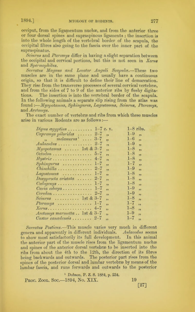 occiput, from the ligamentum nuchae, and from the anterior three or four dorsal spines and supraspinous ligaments ; the insertion is into the whole length of the vertebral border of the scapula, the occipital fibres also going to the fascia over the inner part of the supraspinatus. Sciurus and Pteromys differ in having a slight separation between the occipital and cervical portions, but this is not seen in Xerus and Spermophilus. Serratus Magnus and Levator Anguli Scapulas.—These two muscles are in the same piano and usually have a continuous origin, so that it is difficult to define their line of demarcation. They rise from the transverse processes of several cervical vertebra, and from the sides of 7 to 9 of the anterior ribs by fleshy digita- tions. The insertion is into the vertebral border of the scapula. In the following animals a separate slip rising from the atlas was found :—Myopotamus, Spliingurus, Lagostomus, Sciurus, Pteromys, and Arctomys. The exact number of vertebra and ribs from which these muscles arise in various Eodents are as follows :— Dipus cec/yptius 1-7 c. v. 1-8 ribs. Capromys pilorides . 2-7 77 1-9 77 „ melanurus1 .... 3-7 77 1-6 77 Aulacodus ... 2-7 77 1-9 77 Myopotamus 1st & 3-7 77 1-8 77 Octodon 5-7 77 1-8 77 Jiystrix 4-7 77 1-8 77 Sphingurus 1-7 77 1-7 77 Chinchilla 2-7 77 1-9 77 Lagostomus 1-7 77 1-8 77 Dasyprocta cristata . 2-7 77 1-8 77 Cceloqenys 1-7 77 1-8 77 Cavia cobaya 1-7 77 1-9 77 Cere cl on 2-7 77 1-9 77 Sciurus 1st & 3-7 77 1-8 77 Pteromys 1-7 77 1-7 77 Xerus 4-7 77 1-8 77 Arctomys mcirmotta .. 1st & 3-7 77 1-9 77 Castor canadensis .. . 2-7 77 1-7 77 Serratus Posticus.—This muscle varies very much in different genera and apparently in different individuals. Aulacodus seems to show most satisfactorily its full development. In this animal the anterior part of the muscle rises from the ligamentum nuchae and spines of the anterior dorsal vertebra to be inserted into the ribs from about the 4th to the 12th, the direction of its fibres being backwards and outwards. The posterior part rises from the spines of the posterior dorsal and lumbar vertebra by means of the lumbar fascia, and runs forwards and outwards to the posterior 1 Dobson, P. Z. S. 1884, p. 234. Proc. Zool. Soc.—1894, No. XIX. 19 [27]