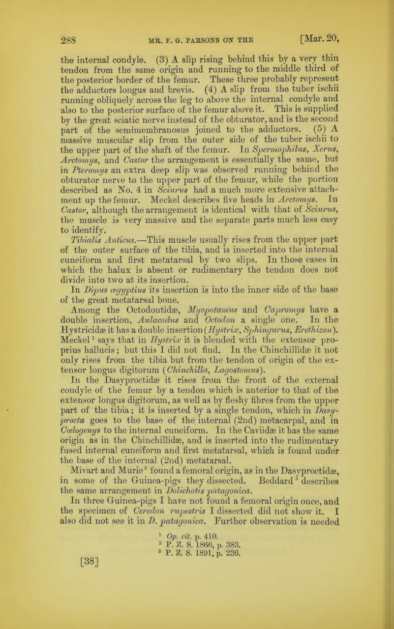 the internal condyle. (3) A slip rising behind this by a very thin tendon from the same origin and running to the middle third of the posterior border of the femur. These three probably represent the adductors longus and brevis. (4) A slip from the tuber ischii running obliquely across the leg to above the internal condyle and also to the posterior surface of the femur above it. This is supplied by the great sciatic nerve instead of the obturator, and is the second part of the semimembranosus joined to the adductors. (5) A massive muscular slip from the outer side of the tuber ischii to the upper part of the shaft of the femur. In Spermophilus, Xerus, Arctomys, and Castor the arrangement is essentially the same, but in Pteromys an extra deep slip was observed running behind the obturator nerve to the upper part of the femur, while the portion described as No. 4 in Sciurus had a much more extensive attach- ment up the femur. Meckel describes five heads in Arctomys. In Castor, although the arrangement is identical with that of Sciums, the muscle is very massive and the separate parts much less easy to identify. Tibialis Anticus.—This muscle usually rises from the upper part of the outer surface of the tibia, and is inserted into the internal cuneiform and first metatarsal by two slips. In those cases in which the halux is absent or rudimentary the tendon does not divide into two at its insertion. In Dipus cegyptius its insertion is into the inner side of the base of the great metatarsal bone. Among the Octodontkke, Myopotamus and Capromys have a double insertion, Aulacoclus and Octodon a single one. In the Ilysl ricidae it has a double insertion (Ilystrix, Spliingurus, Erethizon). Meckel1 says that in Hystrix it is blended with the extensor pro- prius hallucis; but this I did not find. In the Chinchillidte it not only rises from the tibia but from the tendon of origin of the ex- tensor longus digitorum (Chinchilla, Lagostomus). In the Dasyproctidse it rises from the front of the external condyle of the femur by a tendon which is anterior to that of the extensor longus digitorum, as well as by fleshy fibres from the upper part of the tibia; it is inserted by a single tendon, which in Dasy- procta goes to the base of the internal (2nd) metacarpal, and in Coelogenys to the internal cuneiform. In the Caviidse it has the same origin as in the Chinchillidse, and is inserted into the rudimentary fused internal cuneiform and first metatarsal, which is found under the base of the internal (2nd) metatarsal. Mivart and Murie2 found a femoral origin, as in the Dasyproctidse, in some of the Guinea-pigs they dissected. Beddard 3 describes the same arrangement in Dolichotis patagonica. In three Guinea-pigs I have not fouud a femoral origin once, and the specimen of Cercclon rupestris I dissected did not show it. I also did not see it in D. patagonica. Further observation is needed 1 Op. cit. p. 410. 2 P. Z. S. I860, p. 383. 3 P. Z. S. 1891, p. 236. [38]