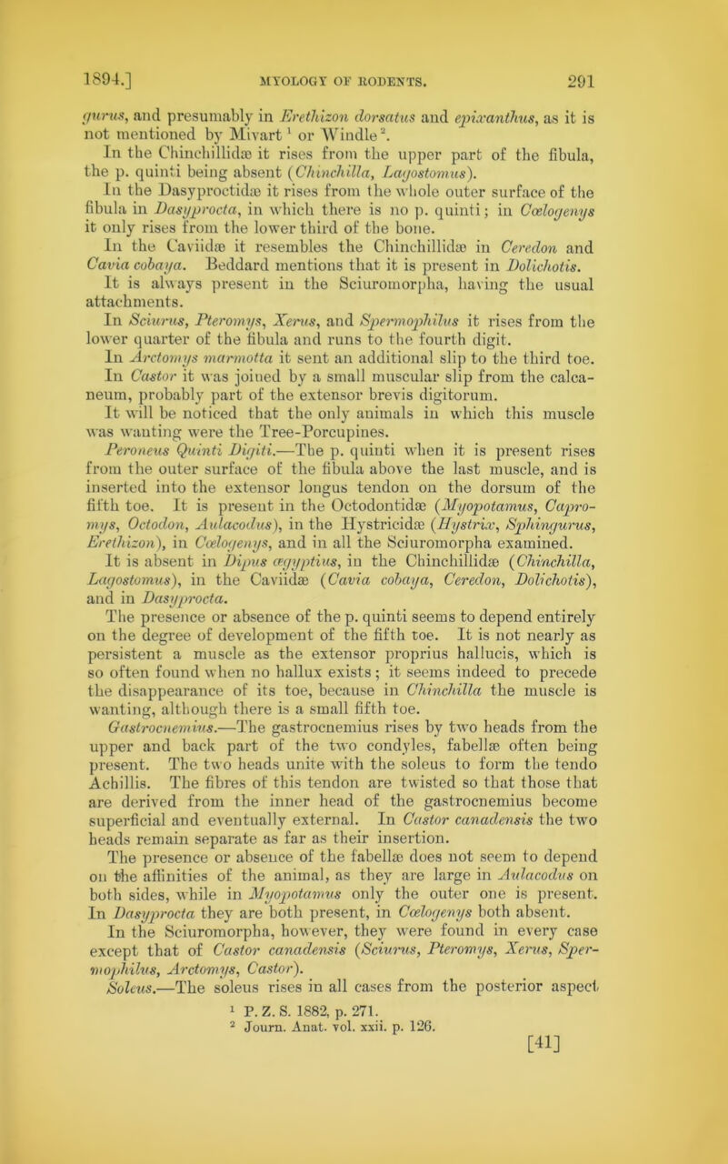 gurus, and presumably in Erethizon dorsatus and epixanthus, as it is not mentioned by Mivart1 or TV indie2. In the Chinchillidse it rises from the upper part of the fibula, the p. quinti being absent (Chinchilla, Layostomus). In the Dasyproctidae it rises from the whole outer surface of the fibula in Dasyprocta, in which there is no p. quinti; in Cceloyenys it only rises from the lower third of the bone. In the Caviidse it resembles the Chinchillidse in Ceredon and Cavia cobay a. Beddard mentions that it is present in Dolichotis. It is always present in the Sciuromorpha, having the usual attachments. In Sdurus, Pteromys, Xerus, and Spermophilus it rises from the lower quarter of the fibula and runs to the fourth digit. In Arctomys marmotta it sent an additional slip to the third toe. In Castor it was joined by a small muscular slip from the calca- neum, probably part of the extensor brevis digitorum. It will be noticed that the only auimals in which this muscle was wanting were the Tree-Porcupines. Peroneus Quinti Diyiti.—The p. quinti when it is present rises from the outer surface of the fibula above the last muscle, and is inserted into the extensor longus tendon on the dorsum of the fifth toe. It is present in the Octodontidse (Myopotamus, Capro- mys, Octodon, Aulacodus), in the ITystricidae (Hystrix, Sphinyurus, Erethizon), in Cceloyenys, and in all the Sciuromorpha examined. It is absent in Pipits cegyptius, in the Chinchillidse (Chinchilla, Layostomus), in the Caviidae (Cavia cobay a, Ceredon, Dolichotis), and in Dasyprocta. The presence or absence of the p. quinti seems to depend entirely on the degree of development of the fifth toe. It is not nearly as persistent a muscle as the extensor proprius hallucis, which is so often found when no hallux exists; it seems indeed to precede the disappearance of its toe, because in Chinchilla the muscle is wanting, although there is a small fifth toe. Gastrocnemius.—The gastrocnemius rises by two heads from the upper and back part of the two condyles, fabellse often being present. The two heads unite with the soleus to form the tendo Achillis. The fibres of this tendon are twisted so that those that are derived from the inner head of the gastrocnemius become superficial and eventually external. In Castor canadensis the two heads remain separate as far as their insertion. The presence or absence of the fabellse does not seem to depend on the affinities of the animal, as they are large in Aulacodus on both sides, while in Myopotamus only the outer one is present. In Dasyprocta they are both present, in Cceloyenys both absent. In the Sciuromorpha, however, they were found in every case except that of Castor canadensis (Sdurus, Pteromys, Xerus, Sper- mophilus, Arctomys, Castor). Soleus.—The soleus rises in all cases from the posterior aspect 1 P.Z.S. 1882, p. 271. 2 Journ. Anat. vol. xxii. p. 126. [41]