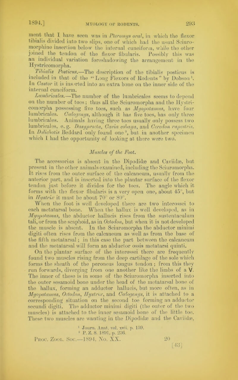 ment that I have seen was in Pteronu/s oral, in which the flexor tibialis divided into two slips, one ot' which h:ul the usual Seiuro- morphine insertion below the internal cuneiform, while the other joined the tendon of the flexor fibularis. Possibly this was an individual variation foreshadowing the arrangement in the Hystricomorpha. Tihialis Posticus.—Tlie description of the tibialis posticus is included in that of the “Long Plexors of Undents ” by Dobson1. In Castor it is inserted into an extra bone on the inner side of the internal cuneiform. Lumbricales.—The number of the lumbricales seems to depend on the number of toes; thus all the Sciuroinorpha and the Hystri- comorpha possessing live toes, such as Myopotamus, have four lumbricales. Coeloymys, although it has five toes, has only three lumbricales. Animals having three toes usually only possess two lumbricales, e. g. Dasyprocta, Cavia cohay a, and Cereilon rupestris. In Dolichotis Beddard only found one, but in another specimen which 1 had the opportunity of looking at there were two. Muscles of the Foot. The accessorius is absent in the Dipodidm and Caviidm, but present in the other animals examined, including the Sciuroinorpha. it rises from the outer surface of the calcaneum, usually from the anterior part, and is inserted into the plantar surface of the flexor tendon just beforo it divides for the toes. The angle which it forms with the flexor fibularis is a very open one, about 45°, but in /JystrLv it must be about 70 or 80°. When the foot is well developed there are two interossei to each metatarsal bone. When the hallux is well developed, as in Myopotamus, the abductor liallucis rises from the sustentaculum tali, or from the scaphoid, as in Octoclon, but when it is not developed the muscle is absent. In the Sciuroinorpha the abductor minimi digiti often rises from the calcaneum as well as from the base of the fifth metatarsal; in this case the part between the calcaneum and the metatarsal will form an abductor ossis metatarsi quinti. On the plantar surface of the interossei there are frequently found two muscles rising from the deep cartilage of the sole which forms the sheath of the peroneus longus tendon ; from this they run forwards, diverging from one another like the limbs of a V. The inner of these is in some of the Sciuroinorpha inserted into the outer sesamoid bone under the head of the metatarsal bone of the hallux, forming an adductor liallucis, but more often, as in Mi/opotamus, Odoclon, Ilystrix, and Cceloc/eni/s, it is attached to a corresponding situation on the second toe forming an adductor secundi digiti. The adductor minimi digiti (the outer of the two muscles) is attached to the inner sesamoid bone of the little too. These two muscles are wanting in the Dipodidse and the Caviidte, 1 .Tnurn. Anat. vol. xvii. p. lf>9 - P. Z. S. 1891, p. 2:50. Proc. Zoom Soc.—1894, Xo. XX. 20 L'1