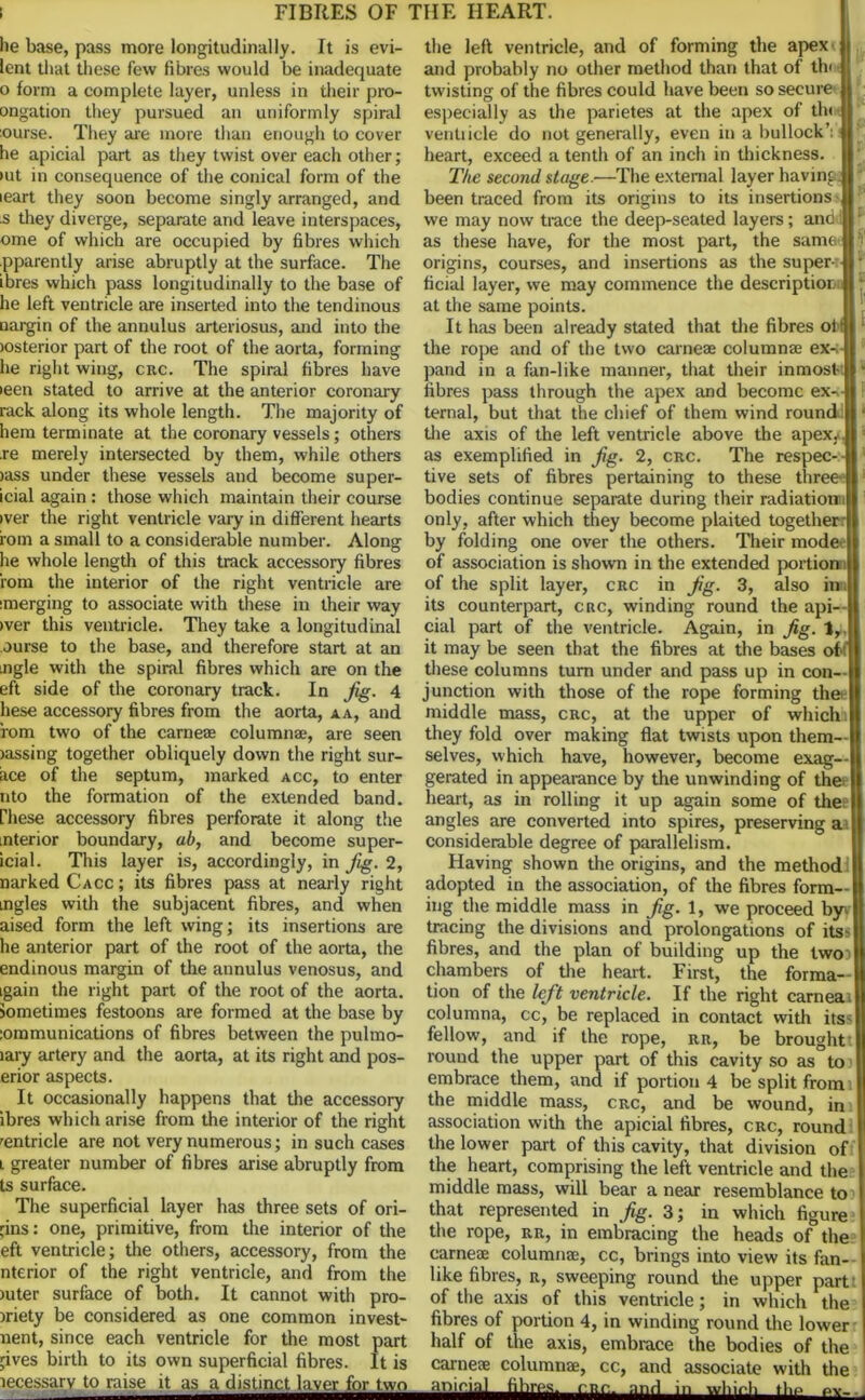 he base, pass more longitudinally. It is evi- lent that these few fibres would be inadequate 0 form a complete layer, unless in their pro- ongation they pursued an uniformly spiral :ourse. They are more than enough to cover he apicial part as they twist over each other; >ut in consequence of the conical form of the leart they soon become singly arranged, and s they diverge, separate and leave interspaces, ome of which are occupied by fibres which pparently arise abruptly at the surface. The ibres which pass longitudinally to the base of he left ventricle are inserted into the tendinous nargin of the annulus arteriosus, and into the >osterior part of the root of the aorta, forming he right wing, crc. The spiral fibres have teen stated to arrive at the anterior coronary rack along its whole length. The majority of hem terminate at the coronary vessels; others .re merely intersected by them, while others >ass under these vessels aud become super- icial again : those which maintain their course iver the right ventricle vary in different hearts rom a small to a considerable number. Along he whole length of this track accessory fibres rom the interior of the right ventricle are merging to associate with these in their way >ver this ventricle. They take a longitudinal ourse to the base, and therefore start at an ingle with the spiral fibres which are on the eft side of the coronary track. In Jig. 4 hese accessory fibres from the aorta, a a, and iom two of the carneae columnae, are seen lassing together obliquely down the right sur- ace of the septum, marked acc, to enter nto the formation of the extended band, rhese accessory fibres perforate it along the interior boundary, ab, and become super- icial. This layer is, accordingly, in fig. 2, narked Cacc ; its fibres pass at nearly right ingles with the subjacent fibres, and when aised form the left wing; its insertions are he anterior part of the root of the aorta, the endinous margin of the annulus venosus, and igain the right part of the root of the aorta, sometimes festoons are formed at the base by :ommunications of fibres between the pulmo- lary artery and the aorta, at its right and pos- erior aspects. It occasionally happens that the accessory ibres which arise from the interior of the right ventricle are not very numerous; in such cases 1 greater number of fibres arise abruptly from ts surface. The superficial layer has three sets of ori- gins: one, primitive, from the interior of the eft ventricle; the others, accessory, from the nterior of the right ventricle, and from the )uter surface of both. It cannot with pro- iriety be considered as one common invest- nent, since each ventricle for the most part jives birth to its own superficial fibres. It is lecessary to raise it as a distinct layer for two the left ventricle, and of forming the apex ill and probably no other method than that of th< 1. twisting of the fibres could have been so secure || especially as the parietes at the apex of tin 11 ventiicle do not generally, even in a bullock’; B’j heart, exceed a tenth of an inch in thickness. The second stage.—The external layer havingJI been traced from its origins to its insertions we may now trace the deep-seated layers; ancidM \ as these have, for the most part, the same*'! origins, courses, and insertions as the super--U1 ficial layer, we may commence the description || at the same points. It has been already stated that the fibres ofM ‘ the rope and of the two carneae columnae ex-.41 pand in a fan-like manner, that their inmost-II ■ fibres pass through the apex and become ex-41 ternal, but that the chief of them wind round:||1 the axis of the left ventricle above the apex. .|| as exemplified in fg. 2, crc. The respec-4| tive sets of fibres pertaining to these three- B bodies continue separate during their radiation ill only, after which they become plaited togetherll by folding one over the others. Their mode' II of association is shown in the extended portionnll of the split layer, crc in fg. 3, also innil its counterpart, crc, winding round the api--|| cial part of the ventricle. Again, in fg. f,.l it may be seen that the fibres at the bases of'ijl these columns turn under and pass up in con—1| junction with those of the rope forming theeil middle mass, crc, at the upper of which.|| they fold over making flat twists upon them— U selves, which have, however, become exag— U gerated in appearance by the unwinding of thei II heart, as in rolling it up again some of thee II angles are converted into spires, preserving aill considerable degree of parallelism. Having shown the origins, and the method!I adopted in the association, of the fibres form— II ing the middle mass in fg. 1, we proceed byvfl tracing the divisions and prolongations of itssn fibres, and the plan of building up the two) I chambers of the heart. First, the forma-U tion of the left ventricle. If the right carneaiH columna, cc, be replaced in contact with itssB fellow, and if the rope, rr, be brought I round the upper part of this cavity so as to I embrace them, and if portion 4 be split from 11 the middle mass, crc, and be wound, in I association with the apicial fibres, crc, round II the lower part of this cavity, that division of I the heart, comprising the left ventricle and the I middle mass, will bear a near resemblance to I that represented in fig. 3; in which figure I the rope, rr, in embracing the heads of the carneae columnae, cc, brings into view its fan- like fibres, r, sweeping round the upper part of the axis of this ventricle; in which the fibres of portion 4, in winding round the lower half of the axis, embrace the bodies of the carneae columnae, cc, and associate with the in whirl, the pv.