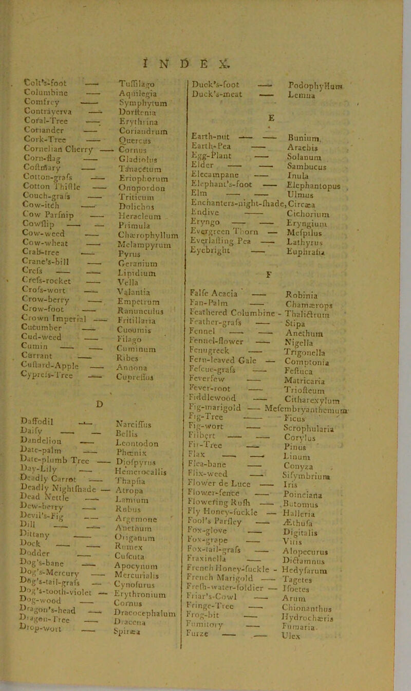 i n r> e & Colt’s-foot Columbine Comfrey Contrayerva — C oi“a 1-Tree ■_ Coriander Cork-Tree Cornelian Cherry — Corn-flag Coftrflary Cotton-grafs —— Cotton Thiftlc Couch-grafs Cow-iteh •- Cow Parfnip Cowflip — Cow-weed Cow-wheat Crab-tree Crane’s-bill Crcfs — Crcfs-rockct Crofs-wort Crow-berry Crow-foot Crown Imperial Cucumber Cud-weed Cumin Currant Cu flare!-Apple Cyprcls- l'ree -— D Daffodil —■ Daify Dandelion — Date-palm —— Date-plumb Tree Day-Lily Deadly Carrot Deadly Nighllhadc — Dead Nettle —- Dew-berry - DcvilVFitr . Dill _L __ Dittany Dock Dodder Dog’s-bane Dog’s-Mcrcury Dftg’s-tail-grafs — Dog’s-tooth-violet —- Dog-Wood Dragon’s-head - - Diagou- Tree Drop--wort Tuffilago Aqnilcgia Symphytum Dorftenia Erythiina Coriaiidrum Quercus • Cornus Gladiolus TatiacCtum Eriopliorum Onopordon Triticum Dolichos Heracleum Piimula Chairophyllum Melampyrum Pyrus Geranium Lipidium Vella Vglantia Empetrum Ranunculus Eritillaiia Cuoumis Eilago Cuminum Ribcs Annona Guprcfl'us Narciffus Beilis Lcontodon Phtrnix Diofpyriis Hemeiocallis Thapfia Atropa I.nmium Rnbus Argemone A net hum Oiiganum Rumex Cufcuta Apocynum Mtrcurialis Cynolurus Erythronium Cornus Dracoccphalum Diacena Spirora Duck’s-foot Duck’s-meat Earth-nut —— Earth-Pea — Egg-Plant - Elder Elecampane — Elcphaut’s-foot Elm _ Enchanters-night- Endive Eryngo Evergreen Thorn Evgrlafling Pea Eycbriglu — Podophyllum Lcmua Bunium. Arachis — Solanum — Sambucus — Inula Elcphantopus Ulmus fliadc,Cirra:a Cichorium — Eryngium — Mefpilus —— Lathyrus Euplualu Falfc Acacia Fan-Palm leathered Columbine Feather-grafs Fennel —. . fennel-flower Fenugreek Fern-leaved Gale — Fcfcuc-grafs feverfew Fever-root Fiddlcwood Fig-marigold Fig-Tree Fig-wort Filbert Fir-Tree Flax . ■ Flea-bane Flix-weed —- Flower dc Luce Flow.er-fcncc Flowering Rulh fly Honcy-fucklc — Fool’s I’arflcy Fox-glove Fox-grape Fox-tail-grafs Fraxinclla French Honey-fuckle • French Marigold Frefb-watcr-foldier — Friar’s-Cowl Fringe-Tree . Frog-bit Fumitory Furze Robinia Chamrcrops Thaliflrurn Stipa Anethum Nigel la Trigonella Comptonia Feftuca Matricaria T i iofteum Citharcxylum Mefcmbryanthcmun Ficus Scrophularia — Cory! us Pinus 1 Linuni Conyza Sifymbrium Iris Poineiana Butomus Hallcria jEthufa Digitalis Vitis Alopccurus Diflamnus Hcdyfarum Tagctes 1 foctes Arum Chionanthus Hydrocharris Fumaria Ulcx