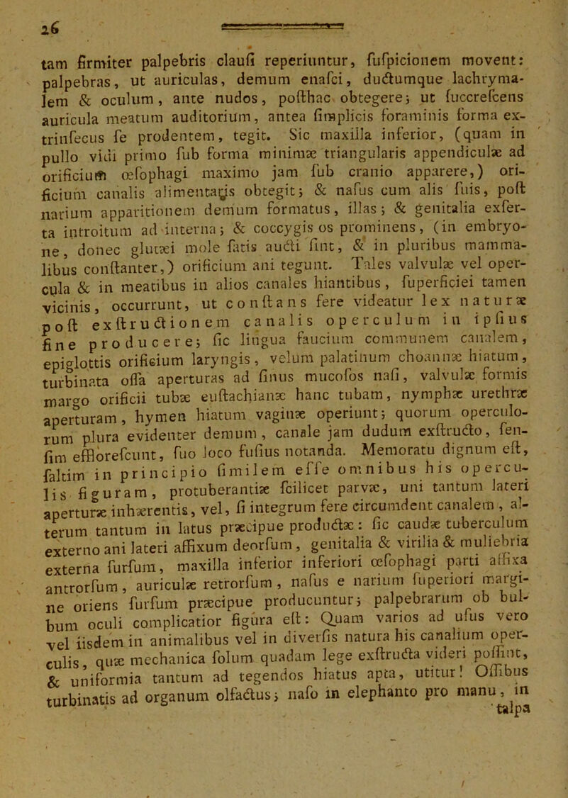 lG tam firmiter palpebris claufi reperiuntur, fufpicionem movent: palpebras, ut auriculas, demum enafci, dudumque lachryma- lem & oculum, ante nudos, pofthac obtegere; ut fuccrefcens auricula meatum auditorium, antea firaplicis foraminis forma ex- trinfecus fe prodentem, tegit. Sic maxilla inferior, (quam in pullo vidi primo fub forma minimae triangularis appendiculae ad orificium oefophagi maximo jam fub cranio apparere,) ori- ficium canalis alimentags obtegit; & nafus cum alis fuis, poft narium apparitionem demum formatus, illas; & genitalia exfer- ta introitum ad interna; & coccygis os prominens, (in embryo- ne, donec glutari mole fatis audifint, & in pluribus mamma- libus conflanter,) orificium ani tegunt. Tales valvulae vel oper- cula & in meatibus in alios canales hiantibus, fuperficiei tamen vicinis, occurrunt, ut conflans fere videatur lex naturae poft exftrudionem canalis operculum in i p fi u s fine producere; fic lingua faucium communem canalem, epiglottis orificium laryngis, velum palatinum choannae hiatum, turbinata ofla aperturas ad fimus mucofos nafi, valvulae formis mar^o orificii tubae euftachianx hanc tubam, nymphae urethrae aperturam, hymen hiatum vaginae operiunt; quorum operculo- rum plura evidenter demum, canale jam dudum exftrudo, fen- fim efflorefeunt, fuo loco fufius notanda. Memoratu dignum eft, faltim in principio fimilem effe omnibus his opercu- lis figuram, protuberantia fcilicet parvx, uni tantum lateri aperturse inhxrentis, vel, fi integrum fere circumdent canalem , al- terum tantum in latus prxeipue produdx: fic caudx tuberculum externo ani lateri affixum denrfum, genitalia & virilia & muliebria externa furfum, maxilla inferior inferiori cefophagt parti affixa antrorfum, auriculx retrorfum , nafus e narium fupenon margi- ne oriens furfum pnecipue producuntur; palpebrarum ob bul- bum oculi complicatior figbra eft: Quam varios ad ufus vero vel iisdem in animalibus vel in diverfis natura his canalium oper- culis quae mechanica folum quadam lege exftruda videri poffint, & uniformia tantum ad tegendos hiatus apta, utitur! Offibus turbinatis ad organum olfadus; nafo in elephanto pro manu, in /