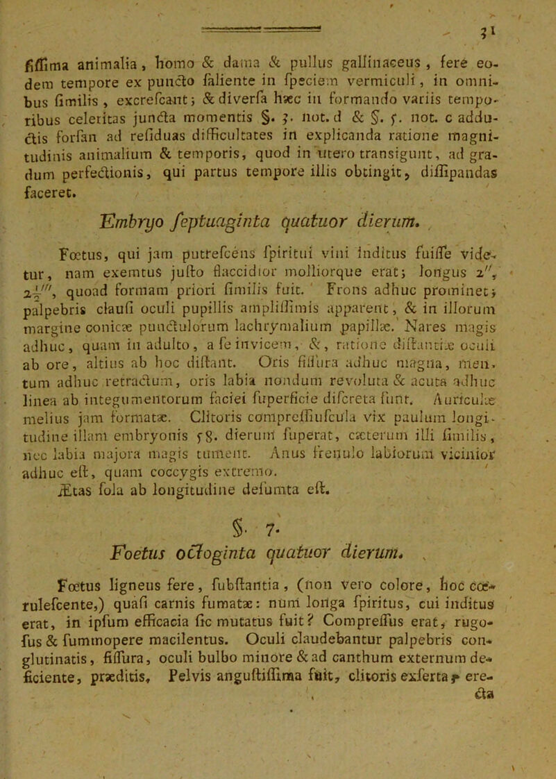 fiflima animalia, homo & dama & pullus gallinaceus , fere eo- dem tempore ex puncto faliente in fpecie.n vermiculi, in omni- bus fimilis , excrefcant; fifcdiverfa hsec iu formando variis tempo- ribus celeritas junda momentis §. J. not. d & §. f. not. c addu- ctis forfan ad refiduas difficultates in explicanda ratione magni- tudinis animalium & temporis, quod in 'utero transigunt, ad gra- dum perfectionis, qui partus tempore illis obtingit, diflipandas faceret. Embryo feptuaginta quatuor dierum. Foetus, qui jam putrefeens fpiritui vini inditus fuifle vide- tur, nam exemtus jufto flaccidior molliorque erat; longus 2, quoad formam priori fimilis fuit. Frons adhuc prominet; palpebris claufi oculi pupillis ampliflimis apparent, & in illorum margine conicae punctulorum lachrymalium papillae.' Nares magis adhuc, quam in adulto, a fe invicem, 8i, ratione diftantias ocuii ab ore, altius ab hoc diftant. Oris fiiiura adhuc magna, meii. tum adhuc retractum, oris labia nondum revoluta & acuta adhuc linea ab integumentorum faciei fuperficie difereta funt. Auriculie melius jam formatae. Clitoris ccmipreffiufcula vix paulum longi- tudine illam embryonis fS- dierum fuperat, cscterum illi fimilis, nec labia majora magis tument. Anus frenulo labiorum vicinior adhuc eft, quam coccygis excremo. jEtas fola ab longitudine deiumta eft. §• 7- Foetus octoginta quatuor dierum. , Foetus ligneus fere, fubftantia, (non vero colore, hoc coe* rulefcente,) quafi carnis fumatae: nunt loilga fpiritus, cui inditus erat, in ipfum efficacia fic mutatus fuit? CompreiTus erat, rugo- fus & fumtnopere macilentus. Oculi claudebantur palpebris con- glutinatis, fiflura, oculi bulbo minore & ad canthum externum de- ficiente, praeditis. Pelvis anguftiffima fuit, clitoris exferta r ere- , cta