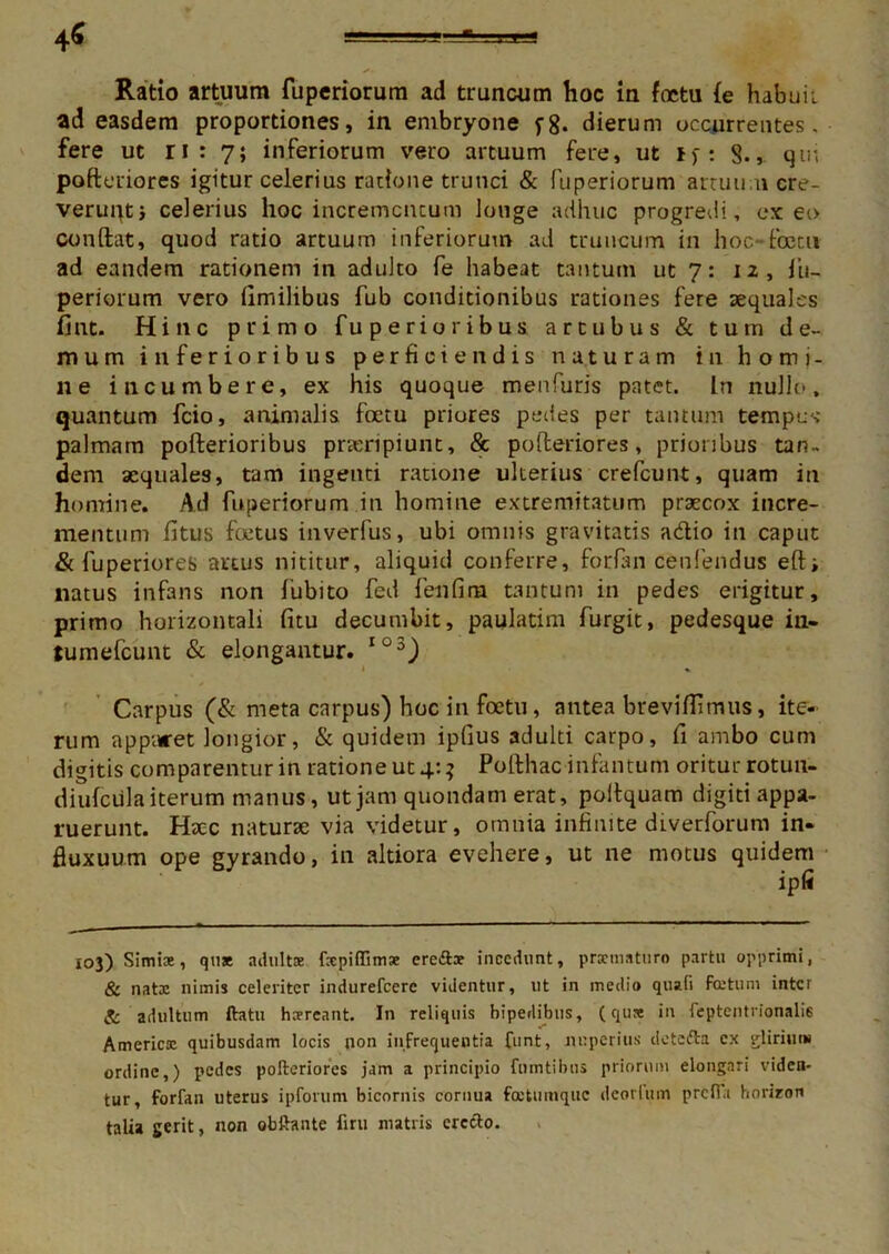 4$ Ratio artuum fuperiorum ad truncum hoc in foetu (e habuii ad easdem proportiones, in embryone f8. dierum occurrentes, fere ut ri: 7; inferiorum vero artuum fere, ut jj: 8-, qin pofteriores igitur celerius ratione trunci & fuperiorum artuu.n cre- verunt i celerius hoc incrementum longe adhuc progredi, exeo conflat, quod ratio artuum inferiorum ad truncum in hoc-foccu ad eandem rationem in adulto fe habeat tantum ut 7: 12, iu- periorum vero fimilibus fub conditionibus rationes fere aequales fint. Hinc primo fuperioribus artubus & tum de- mum inferioribus perficiendis naturam in homi- ne incumbere, ex his quoque menfuris patet. In nullo, quantum fcio, animalis foetu priores pedes per tantum tempus palmam pofterioribus praeripiunt, & pofteriores, prioribus tan- dem aequales, tam ingenti ratione ulterius crefcunt, quam in homine. Ad fuperiorum in homine extremitatum praecox incre- mentum fitus foetus inverfus, ubi omnis gravitatis adio in caput & fuperiores artus nititur, aliquid conferre, forfan cenfendus efti natus infans non fubito fed fenfirn tantum in pedes erigitur, primo horizontali fitu decumbit, paulatim furgit, pedesque in- tumefeunt & elongantur. I03) Carpus (& meta carpus) hoc in foetu, antea breviflimus, ite- rum apparet longior, & quidem ipfius adulti carpo, fi ambo cum digitis comparemur in ratione ut 4:; Pofthac infantum oritur rotuu- diufcula iterum manus, ut jam quondam erat, poftquam digiti appa- ruerunt. Haec naturae via videtur, omnia infinite diverforum in- fluxuum ope gyrando, in altiora evehere, ut ne motus quidem 103) Simiae, quae adultae fapiflimae ere&ae incedunt, praematuro partu opprimi, & natx nimis celeriter indurefeere videntur, ut in medio quali fcetum inter gr adultum ftatu haereant. In reliquis bipedibus, (qu* in feptentrionali6 America: quibusdam locis non infrequentia funt, nuperius detefta cx gliriut» ordine,) pedes pofteriores jam a principio fnmtibus priorum elongari viden- tur, forfan uterus ipfonim bicornis cornua fcetumquc deorlum prcfi.i hiorizon talia gerit, non obftante firu matris erecto.