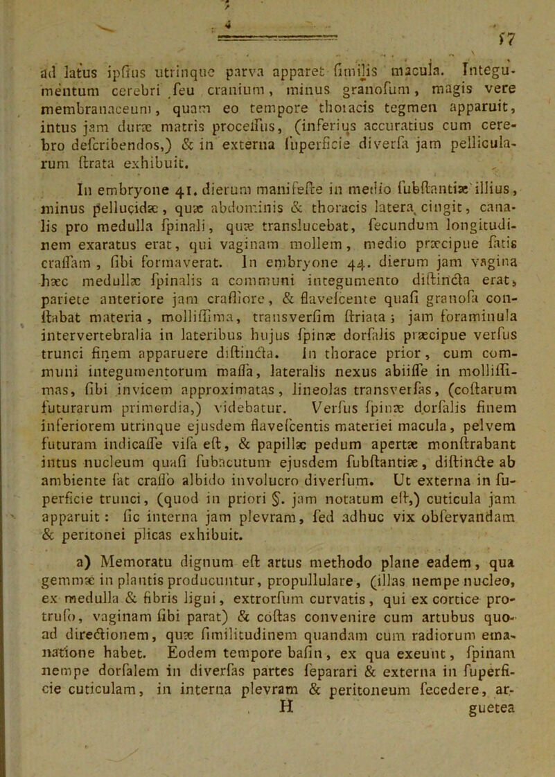 >'7 ad latus ipfius utrinque parva apparet fimilis macula. Integu- mentum cerebri feu cranium, minus granofum, magis vere membranaceum, quam eo tempore thoiacis tegmen apparuit, intus jam durae matris procefTus, (inferius accuratius cum cere- bro defcribendos,) & in externa fuperficie diverfa jam pellicula- rum lirata exhibuit. In embryone 41. dierum manifefte in medio fubdantise' illius, minus pellucidae, qme abdominis & thoracis latera, cingit, cana- lis pro medulla fpinali, qute translucebat, fecundum longitudi- nem exaratus erat, qui vaginam mollem, medio praecipue fatis eradam , fibi formaverat. In embryone 44. dierum jam vagina hsec medullae fpinalis a communi integumento diftincta erat, pariete anteriore jam crafliorc, & flaveicente quafi granofa con- ilabat materia, mollilfima, transverfim ftriata ; jam forarninula intervertebralia in lateribus hujus fpinae dorfalis praecipue verfus trunci finem apparuere diftincla. In thorace prior, cum com- muni integumentorum mada, lateralis nexus abii fle in molliili- mas, fibi invicem approximatas, lineolas transverfas, (collarum futurarum primordia,) videbatur. Verfus Ipinae dorfalis finem inferiorem utrinque ejusdem fiavefeentis materiei macula, pelvem futuram indicalfe vifaeft, & papillae pedum apertae monllrabant intus nucleum quvtfi fubneutum- ejusdem fubllantiae, diftinde ab ambiente fat cralfo albido involucro diverfum. Ut externa in fu- perficie trunci, (quod in priori §. jam notatum ell,) cuticula jam apparuit: fic interna jam plevram, fed adhuc vix obfervandam & peritonei plicas exhibuit. a) Memoratu dignum effc artus methodo plane eadem, qua gemnrcC in plautis producuntur, propullulare, (illas nempenucleo, ex medulla & fibris ligni, extrorfum curvatis , qui ex cortice pro- trufo, vaginam libi parat) & collas convenire cum artubus quo- ad diredtionem, quae fimilitudinem quandam cum radiorum ema- natione habet. Eodem tempore bafin, ex qua exeunt, fpiiiam nempe dorfalem in diverfas partes feparari & externa in fuperfi- cie cuticulam, in interna plevram & peritoneum fecedere, ar- H guetea