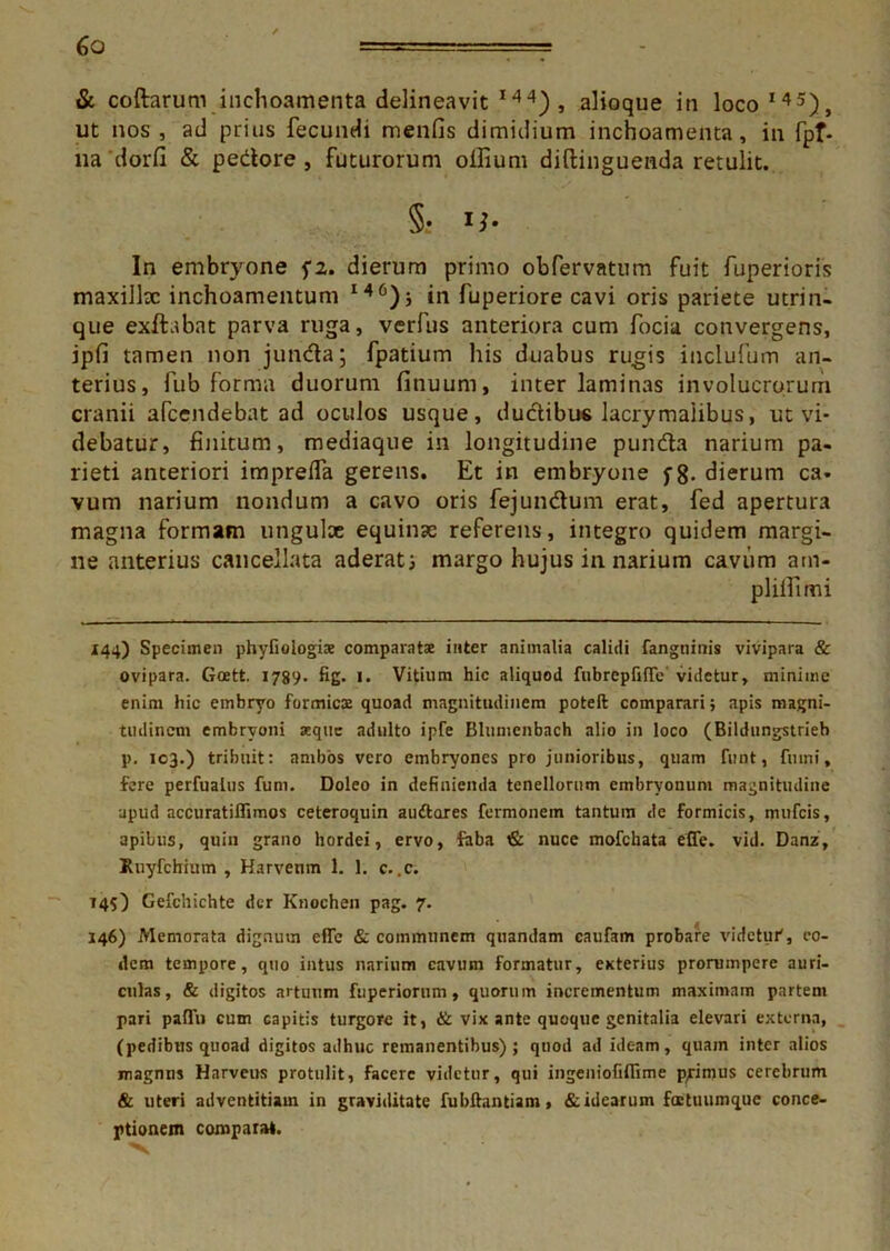 & collarum inchoamenta delineavit I44), alioque in loco I45), ut nos, ad prius fecundi menfis dimidium inchoamenta, in fpf- ua dorfi & pedore , futurorum olfium diftinguenda retulit. §• In embryone 52. dierum primo obfervatum fuit fuperioris maxilla: inchoamentum M6); in fuperiore cavi oris pariete utrin- que exftabat parva ruga, verfus anteriora cum focia convergens, ipfi tamen non jun&a; fpatium his duabus rugis inclufum an- terius, fub forma duorum finuum, inter laminas involucrorum cranii afcendebat ad oculos usque, ductibus lacrymalibus, ut vi- debatur, finitum, mediaque in longitudine punda narium pa- rieti anteriori impreifa gerens. Et in embryone f8- dierum ca- vum narium nondum a cavo oris fejundum erat, fed apertura magna formam ungulae equinae referens, integro quidem margi- ne anterius cancellata aderat; margo hujus in narium caviim am- plilfimi 144) Specimen phyfioiogiaj comparatae inter animalia calidi fangninis vivipara & ovipara. Goett. 1789. fig. 1. Vitium hic aliquod fubrepfifTe videtur, minime enim hic embryo formicae quoad magnitudinem poteft comparari; apis magni- tudinem embryoni aeque adulto ipfe Blumeubach alio in loco (Bildungstrieb p. 103.) tribuit: ambos vero embryones pro junioribus, quam funt, fumi, fere perfualus funi. Doleo in definienda tenellorum embryonum magnitudine apud accuratiffimos ceteroquin audtares fermonem tantum de formicis, mufeis, apibus, quin grano hordei, ervo, faba & nuce mofchata effe. vid. Danz, Ruyfcbium , Harvenm 1. 1. c. .c. 145) Gefcbichte der Knochen pag. 7. 146) Memorata dignum efle & communem qnandam caufam probare videtur', eo- dem tempore, quo intus narium cavum Formatur, exterius prorumpere auri- culas, & digitos artuum fuperiorum, quorum incrementum maximam parteni pari paflu cum capitis turgore it, & vix ante quoque genitalia elevari externa, (pedibus quoad digitos adhuc remanentibus); quod ad ideam, quam inter alios magnus Harveus protulit, facere videtur, qui ingeniofiflime p/rimus cerebrum & uteri adventitiam in graviditate fubftantiam, & idearum factuumque conce- ptionem comparat.