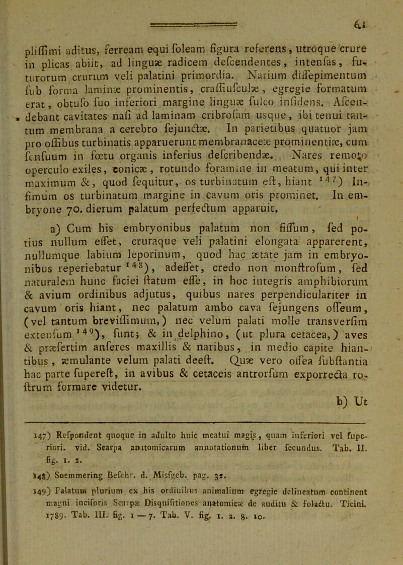 41 pliflimi aditus, ferream equi foleam figura referens, utroque crure in plicas abiit, ad linguae radicem defcendentes, intenfas, fu., tororum crurum veli palatini primordia. Narium diilepimentum lub forma laminae prominentis, crafliufculse, egregie formatum erat, obtufo fuo inferiori margine linguae fulco infidens. Afcen- . debant cavitates nafi ad laminam cribro fam usque, ibi tenui tan- tum membrana a cerebro fejundsc. In parietibus quatuor jam pro offibus turbinatis apparuerunt membranaceae prominentiae, cum ftnfuum in foetu organis inferius defcribendae. Nares remoto operculo exiles, conicae, rotundo foramine in meatum, qui inter maximum &, quod fequitur, os turbinatum eft, hiant I47) In- fimum os turbinatum margine in cavum oris prominet. In em- bryone 70. dierum palatum perfedum apparuit. a) Cum his embryonibus palatum non filium, fed po- tius nullum effet, cruraque veli palatini elongata apparerent, nullumque labium leporinum, quod hac aetate jam in embryo- nibus reperiebatur 14S), adelfet, credo non monftrofum, fed naturalem hunc faciei datum effe, in hoc integris amphibiorum & avium ordinibus adjutus, quibus nares perpendiculanter in cavum oris hiant, nec palatum ambo cava fejungens odeum, (vel tantum breviffimum,) nec velum palati molle transverfim extenfum 1 49), funt; & in delphino, (ut plura cetacea,) aves & prrefertim anferes maxillis & naribus, in medio capite hian- tibus , jcmulante velum palati deeft. Quae vero olfea fubftantia hac parte fupereft, in avibus & cetaceis antrorfum exporreda ro- ftrum formare videtur. b) Ut 147) Refpondent quoque in adulto huic meatui magi_s, quam inferiori vel fupe- riori. vid. Scarpa anatomicarum annotationum liber fecundus. Tab. II. fig. 1. 2. *4g) Soemmering Befchr. d. Misfgcb. pag. 32. 149) Falatum plurium ex his ordinibus animalium egregie delineatnm continent magni inciforis Scavpx Disquifitioncs anatomicae de auditu & foladtu. Ticini.