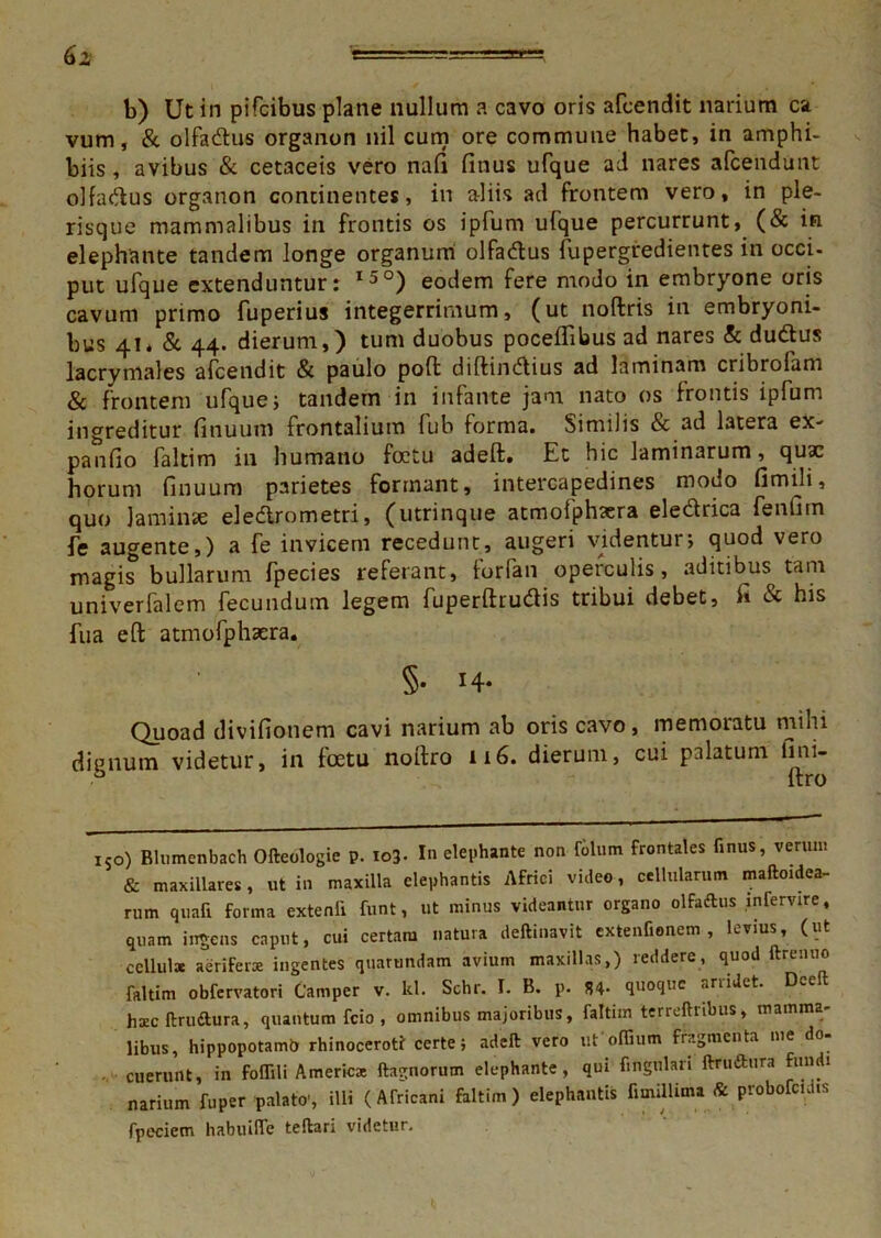 b) Ut in pifcibus plane nullum a cavo oris afcendit narium ca vum, & olfadus organon nil cum ore commune habet, in amphi- biis , avibus & cetaceis vero nafi finus ufque ad nares afcendunt olfadus organon concinentes, in aliis ad frontem vero, in ple- risque mammalibus in frontis os ipfum ufque percurrunt, (& in elephante tandem longe organum olfadus fupergredientes in occi- put ufque extenduntur: I;>0) eodem fere modo in embryone oris cavum primo fuperius integerrimum, (ut noftris in embryoni- bus 41. & 44. dierum,) tum duobus poceflibus ad nares & dudus lacrymales afcendit & paulo poffc diftindius ad laminam cribrofam & frontem ufque; tandem in infante jam nato os frontis ipfum ingreditur finuum frontalium lub forma. Similis & ad latera ex- panfio faltim in humano foctu adeft;. Et hic laminarum, quae horum finuum parietes formant, intercapedines modo fimili, quo laminae eledrometri, (utrinque atmofphaera eledrica fenfiin fe augente,) a fe invicem recedunt, augeri videntur; quod vero magis bullarum fpecies referant, forfan operculis, aditibus tam univerfalem fecundum legem fuperftrudis tribui debet, fi & his fua eft atmofphaera. §• H* Quoad divifionem cavi narium ab oris cavo, memoratu mihi dignum videtur, in foetu noftro 116. dierum, cui palatum ijni- . ftro 150) Blumenbach Ofteologie p. io3- In elephante non folum frontales finus, verum & maxillares, ut in maxilla elephantis Africi video, cellularum maftoidea- rum quali forma extenfi funt, ut minus videantur organo olfaftus intervire, quam indens caput, cui certam natura deftinavit extenfionem , levius, (ut cellula aerifera ingentes quarundam avium maxillas,) reddere, quod ftremio faltim obfervatori Camper v. kl. Schr. I. B. p. S4- quoque ari i Jet- Dceft hac ftrudtura, quantum fcio , omnibus majoribus, faltim terreftiibus, mamma libus, hippopotami* rhinoceroti certe; adeft vero ut offium fragmenta me do- cuerunt, in foflili America ftagnorum elephante, qui fingulari ftruftura fundi narium fuper palato', illi (Africani faltim) elephantis fimillima & probofcidts fpeciem habuide teftari videtur.