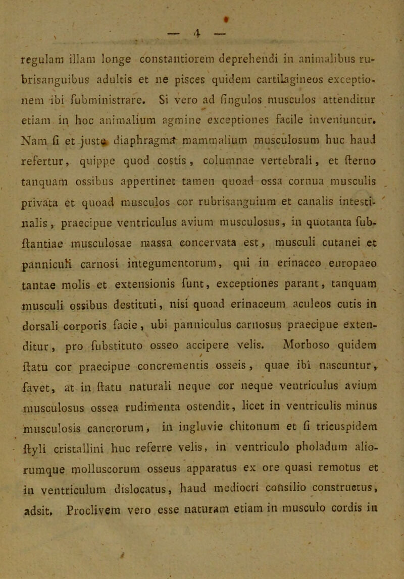 - ' ' . ■ ; regulam illam longe constaiitiorem deprehendi in animalibus ru- brisanguibus adultis et ne pisces quidem cartilagineos exceptio- nem ibi fubministrare. Si vero ad fingulos musculos attenditur etiam in hoc animalium agmine exceptiones facile inveniuntur. Nam fi et just^ diaphragmit mammalium musculosum huc haud refertur, quippe quod costis, columnae vertebrali, et fterno tanquam ossibus appertinet tamen quoad ossa cornua musculis privata et quoad musculos cor rubrisanguium et canalis intesti- nalis, praecipue ventriculus avium musculosus, in quotanta fub- ftantiae musculosae massa eoncervata est, musculi cutanei et pannicuH carnosi integumentorum, qui in erinaceo europaeo tantae molis et extensionis funt, exceptiones parant, tanquam musculi ossibus destituti, nisi quoad erinaceum aculeos cutis in dorsali corporis facie, ubi panniculus carnosus praecipue exten- ditur , pro fubstituto osseo accipere velis. Morboso quidem ftatu cor praecipue concrementis osseis, quae ibi nascuntur, favet, at in ftatu naturali neque cor neque ventriculus avium musculosus ossea rudimenta ostendit, licet in ventriculis minus musculosis cancrorum, in ingluvie chitonum et fi tricuspidem ftyli cristallini huc referre velis, in ventriculo pholadum alio- rumque molluscorum osseus apparatus ex ore quasi remotus et in ventriculum dislocatus, haud mediocri cofisilio constructus, adsit, Proclivem vero esse naturam etiam in musculo cordis in