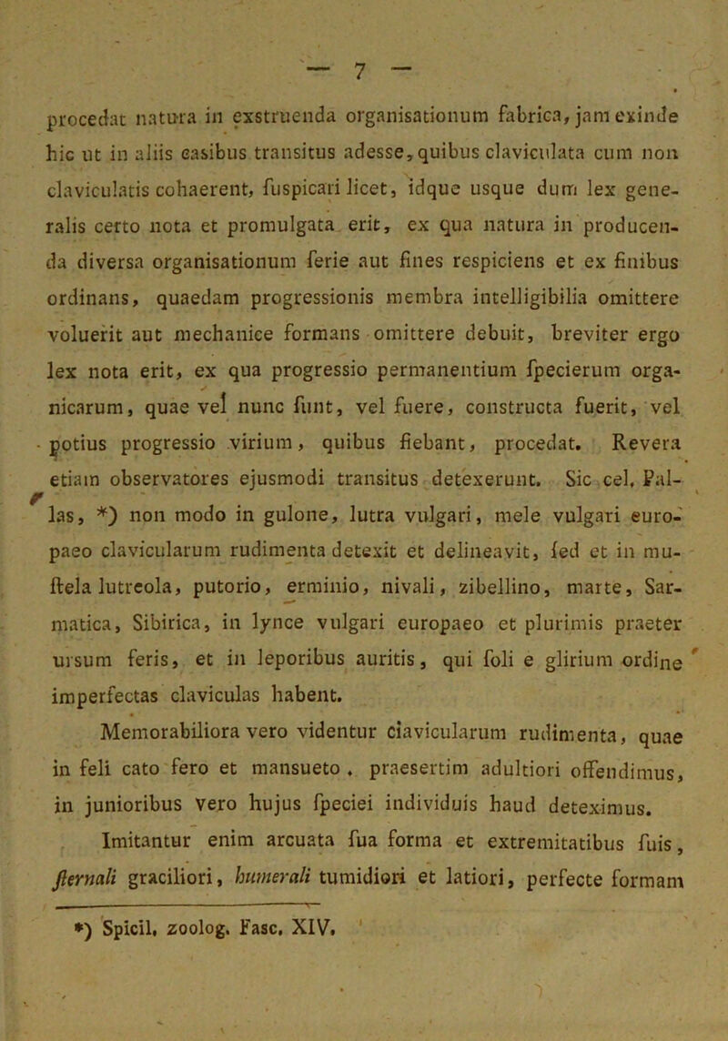 procedat natma in exstruenda organisatioiium fabrica, jam exinde hic ut in aliis casibus transitus adesse, quibus claviculata cum non claviculatis cohaerent, fuspicari licet, idque usque dum lex gene- ralis certo nota et promulgata erit, ex qua natura in producen- da diversa organisatioiium ferie aut fines respiciens et ex finibus ordinans, quaedam progressionis membra intelligibilia omittere voluerit aut mechaniee formans omittere debuit, breviter ergo lex nota erit, ex qua progressio permanentium fpecierum orga- nicarum, quae vel nunc funt, vel fuere, constructa fuerit, vel potius progressio virium, quibus fiebant, procedat. Revera etiam observatores ejusmodi transitus detexerunt. Sic cel, Pal- las, non modo in gulone, lutra vulgari, mele vulgari euro- paeo clavicularum rudimenta detexit et delineavit, led et in mu- ftela lutreola, putorio, erminio, nivali, 2ibellino, marte, Sar- matica, Sibirica, in lynce vulgari europaeo et plurimis praeter ursum feris, et in leporibus auritis, qui foli e glirium ordine^ imperfectas claviculas habent. • •' Memorabiliora vero videntur clavicularum rudimenta, quae in feli cato fero et mansueto , praesertim adultiori offendimus, in junioribus vero hujus fpeciei individuis haud deteximus. Imitantur enim arcuata fua forma et extremitatibus fuis, Jlernali graciliori, humerali tumidiori et latiori, perfecte formam