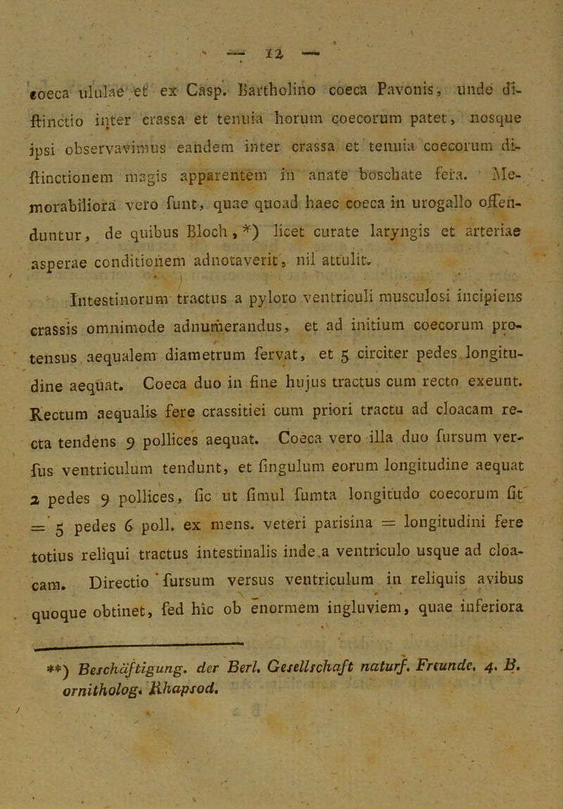 eoeca ulube et ex Casp. Bartholino coeca Pavonis, unde di- ftinctio inter crassa et tenuia horum coecorum patet, iiosque ipsi observavimus eandem inter crassa et tenuia coecorum di- ftinctionem magis apparentem in anate boschate fera. Me- morabiliora vero funt, quae quoad haec coeca in urogallo oiTen- duntur, de quibus Bloch, ^) licet curate laryngis et arteriae asperae conditionem adnotaverit', nil attulit. Intestinorum tractus a pyloro ventriculi musculosi incipiens crassis omnimode adnuriierandus, et ad initium coecorum pro- / tensus aequalem diametrum fervat, et 5 circiter pedes longitu- dine aequat. Coeca duo in fine hujus tractus cum recto exeunt. Rectum aequalis fere crassitiei cum priori tractu ad cloacam re- cta tendens 9 pollices aequat. Coeca vero illa duo fursum ver- fus ventriculum tendunt, et fingulum eorum longitudine aequat a pedes 9 pollices, fic ut fimul fumta longitudo coecorum fit' z=’ 5 pedes 6 poli, ex mens, veteri parisina = longitudini fere totius reliqui tractus intestinalis inde.a ventriculo usque ad cloa- cam. Directio ’ fursum versus ventriculum in reliquis avibus r • quoque obtinet, fed hic ob enormem ingluviem, quae inferiora r **) Beschajtigung. der Berl, Gesellichcift naturf, Frtundc, 4, B, ornitholog* Bhapsod,