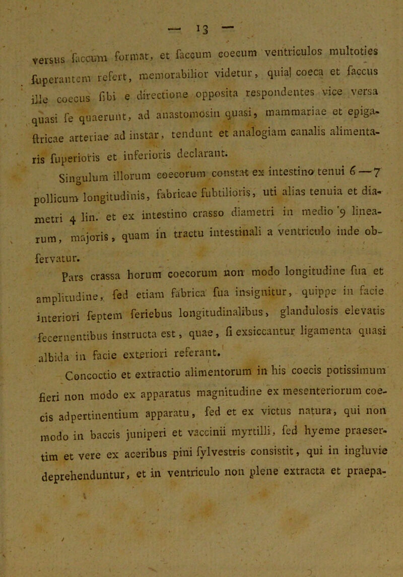 versus faecum format, et faecum coecum ventriculos multoties fuperaiucm refert, memorabilior videtur, quia] coeca et faccus ille coecus fibi e directione opposita respondentes vice versa quasi fe quaerunt, ad anastomosin quasi, mammariae et epiga- ftricae arteriae ad instar, tendunt et analogiam canalis alimenta- ris fuperions et inferioris declarant. Singulum illorum eoecorum constat ex intestino tenui ^ 7 pollicum longitudinis, fabricae fubiilioris, uti alias tenuia et dia- metri 4 lin. et ex intestino crasso diametri in medio '9 linea- rum, majoris, quam in tractu intestinali a ventricudo inde ob- fervatur. Pars crassa horum eoecorum non modo longitudine fua et amplitudine, fed etiam fabrica fua insignitur, quippe in facie interiori feptem feriebus longitudinalibus, glandulosis elevatis fecernentibus instructa est, quae, fi exsiccantur ligamenta quasi albida in facie exteriori referant. Concoctio et extractio alimentorum in his coecis potissimum fieri non modo ex apparatus magnitudine ex mesenteriorum coe- cis ad pertinentium apparatu, fed et ex victus natura, qui non modo in baccis juniperi et vaccinii myrtilli, fed hyeme praeser- tim et vere ex aceribus pini fylvestris consistit, qui in ingluvie deprehenduntur, et in ventriculo non plene extracta et praepa-